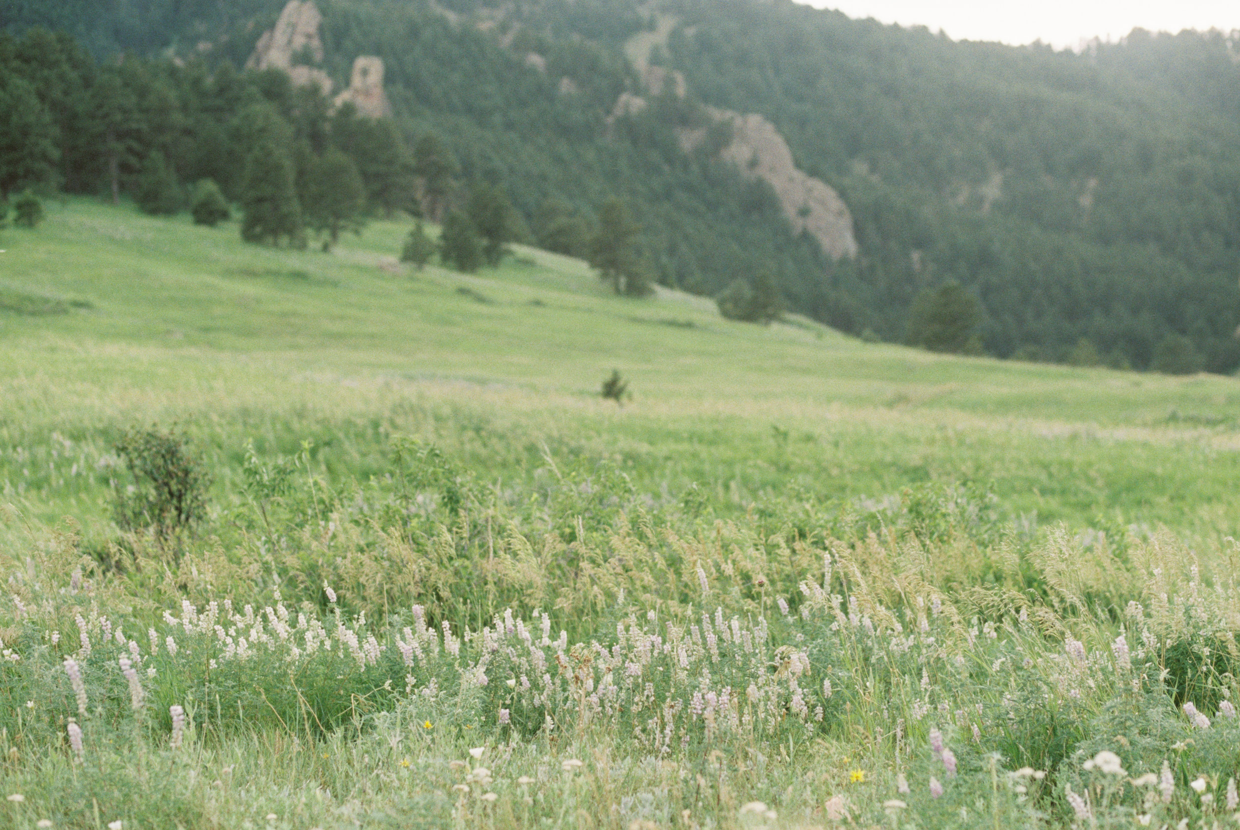 Chautauqua Family Photos