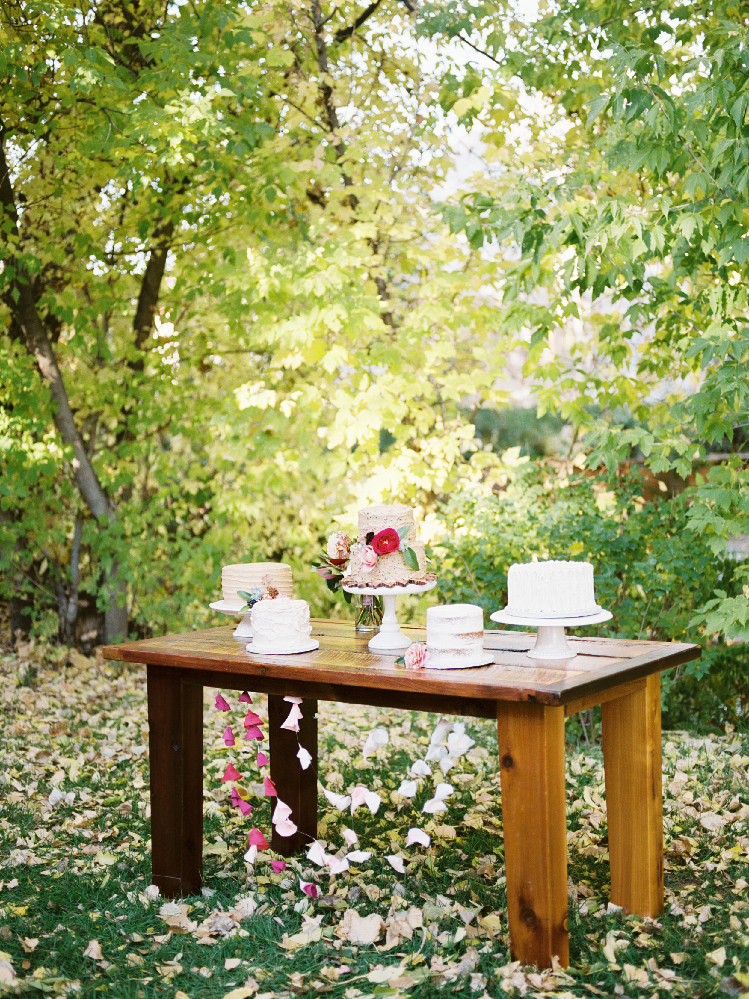 Lyons Farmette Wedding with Purple Summer Events - Luxury Fine Art Wedding Photographer
