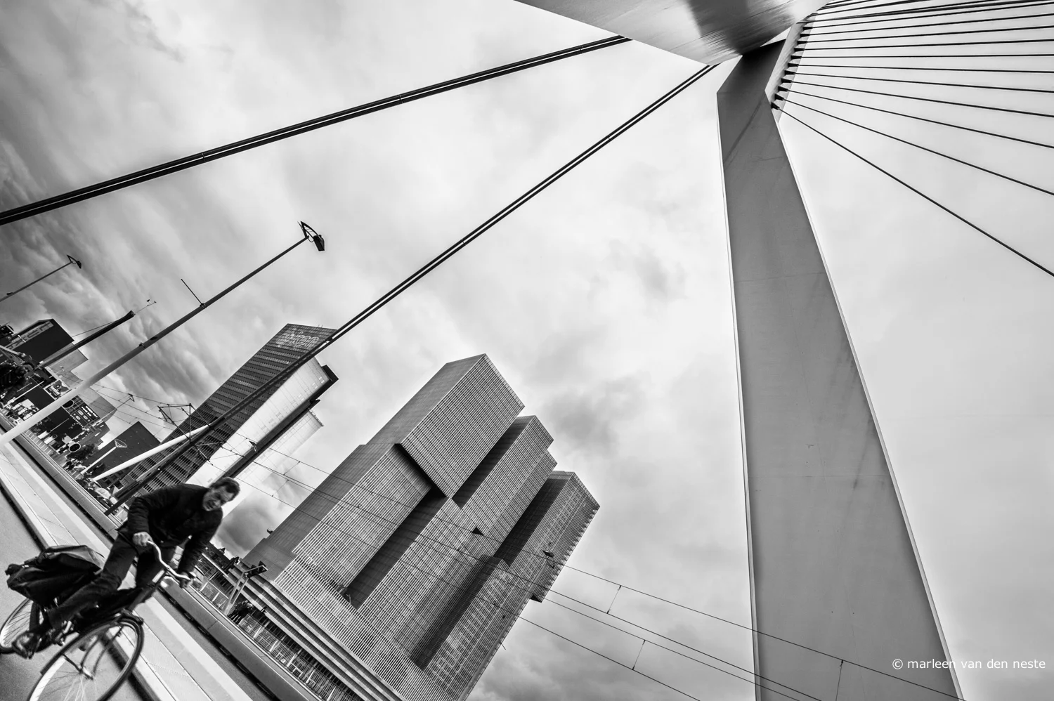 Biker crossing a bridge called the Swan by locals in Rotterdam.