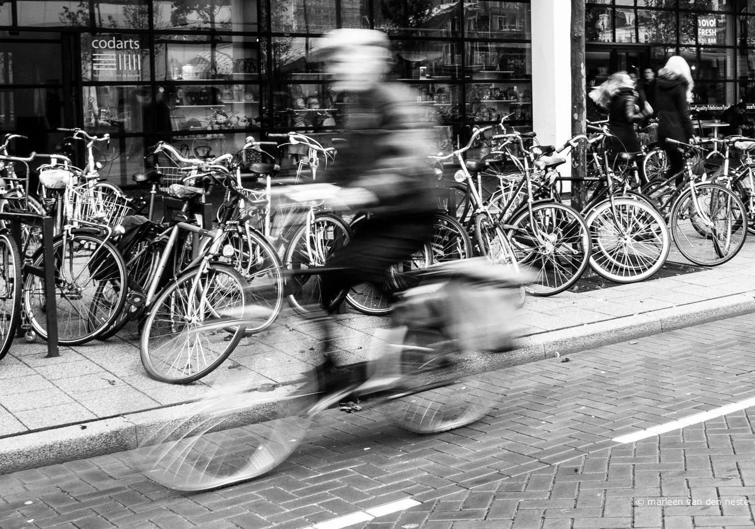 Bicyclist in Rotterdam.