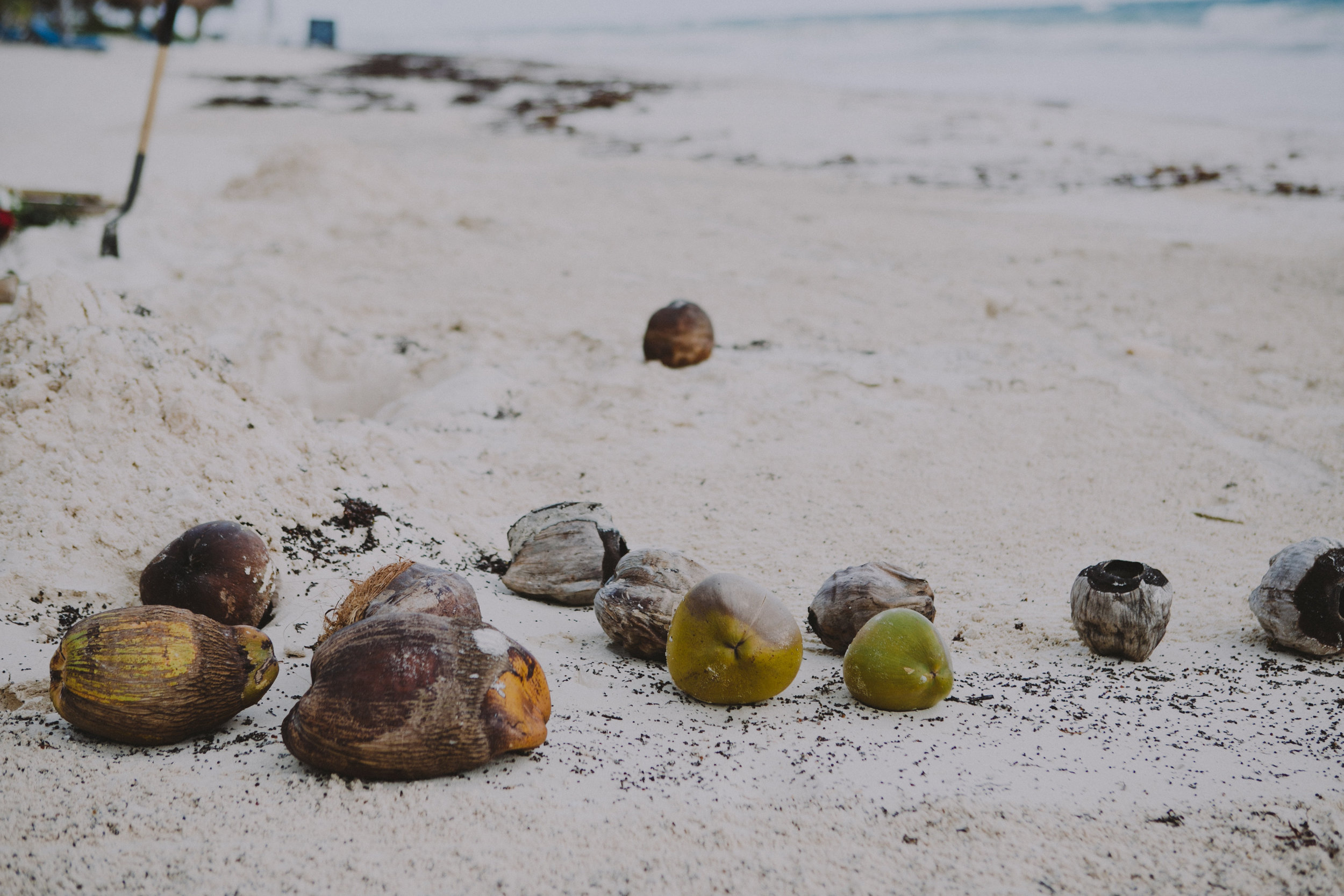 TULUM MEXICO CITY NYC DESTINATION WEDDING PHOTOGRAPHER DANIEL
