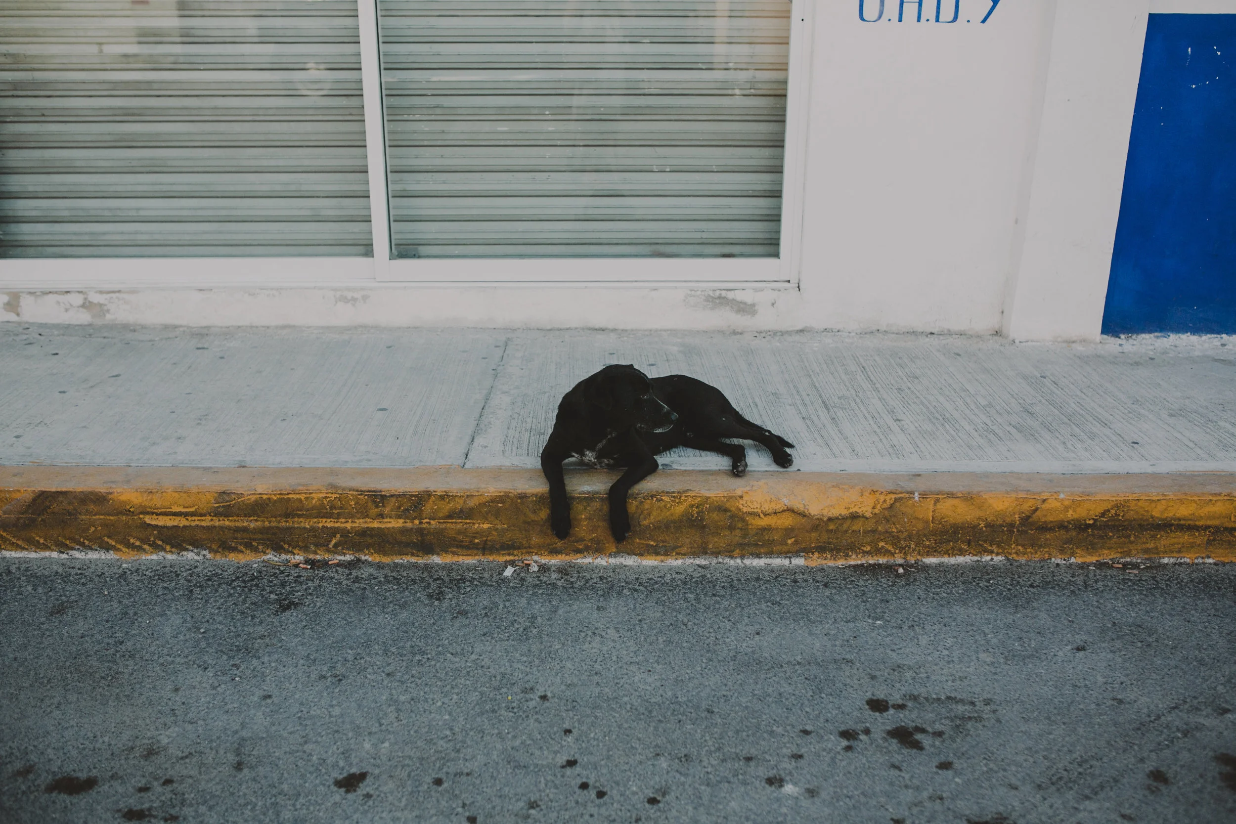 TULUM MEXICO CITY NYC DESTINATION WEDDING PHOTOGRAPHER CHELLISE MICHAEL