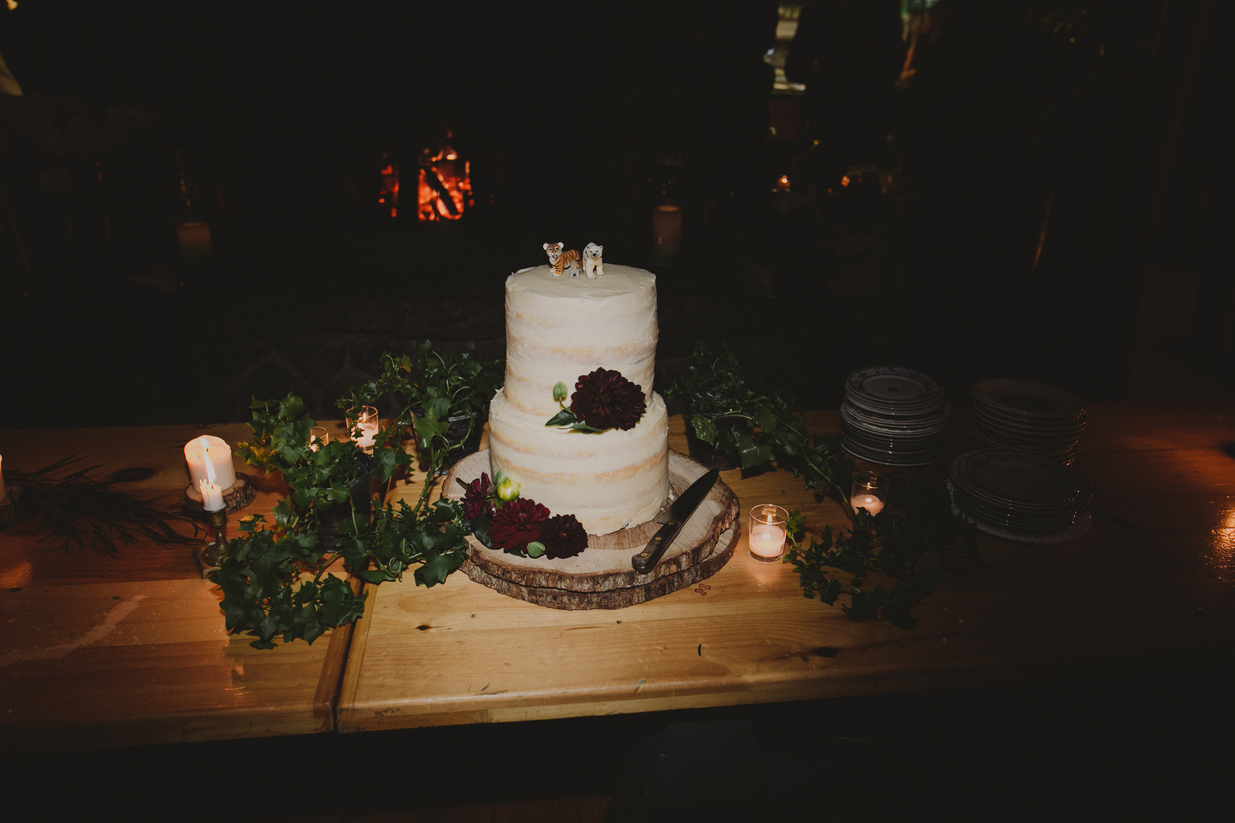 windsor mountain summer camp wedding NH chellise michael photography 1861.jpg
