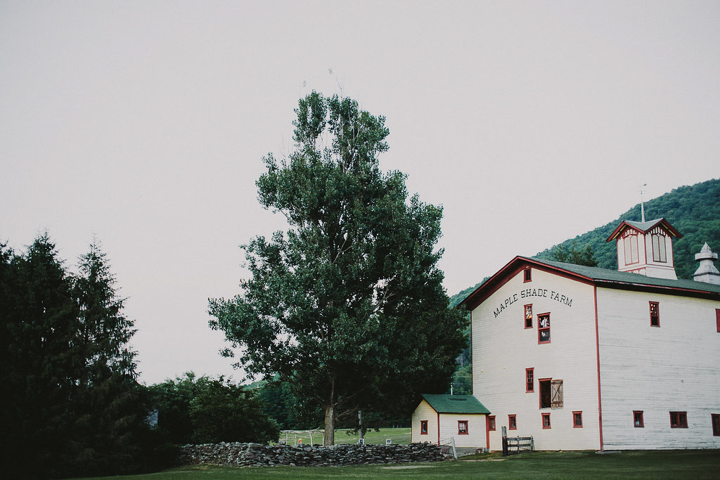 MapleShadeFarmWeddingPhotographer_Chellise_Michael-985.jpg