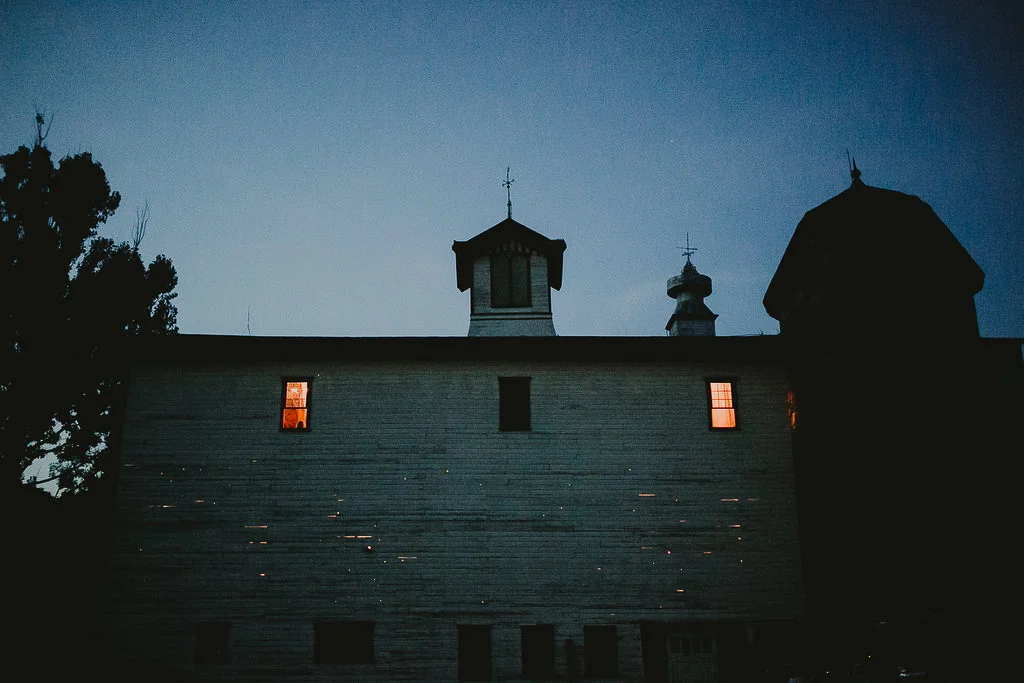MapleShadeFarmWeddingPhotographer_Chellise_Michael-1024.jpg