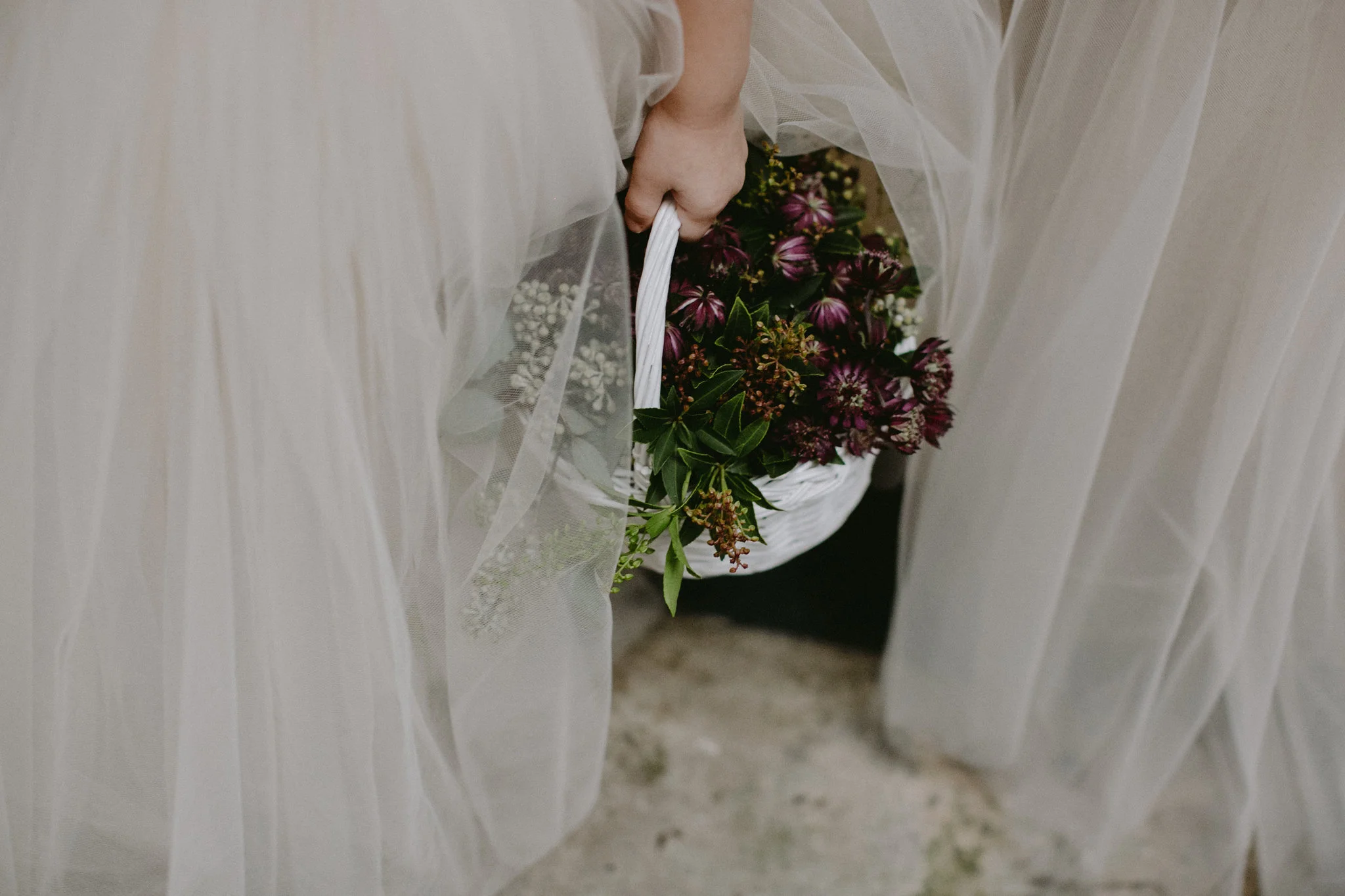 Chellise_Michael_Photography-581.jpg