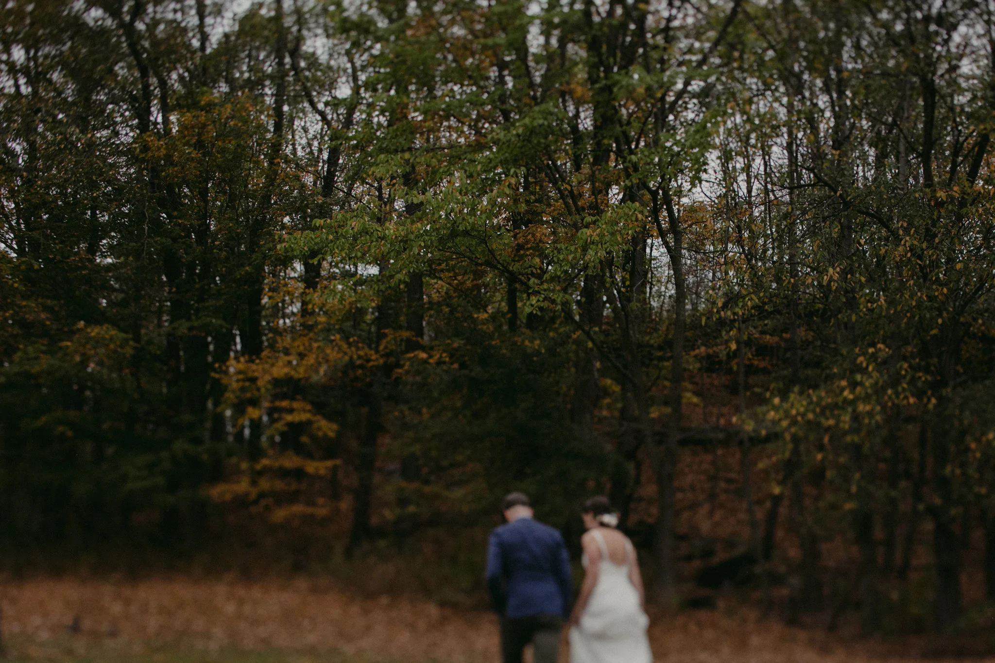 Barn at Headwaters Wedding Roxbury NY by Chellise Michael Photography39.jpg