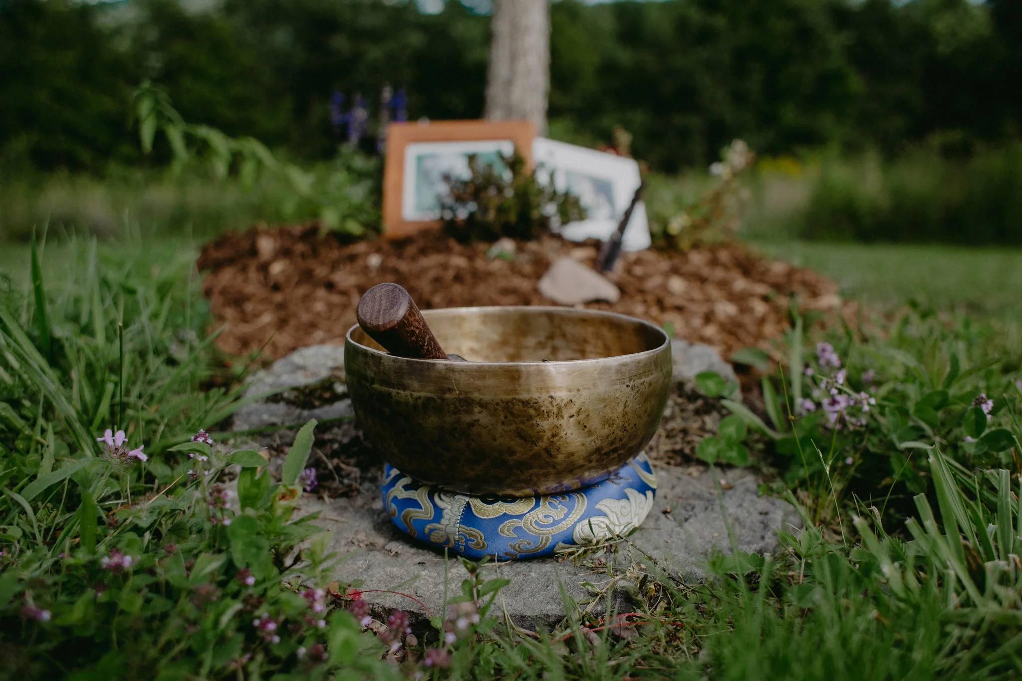 CatskillsWeddingPhotographerChelliseMichaelPhotography-187.jpg