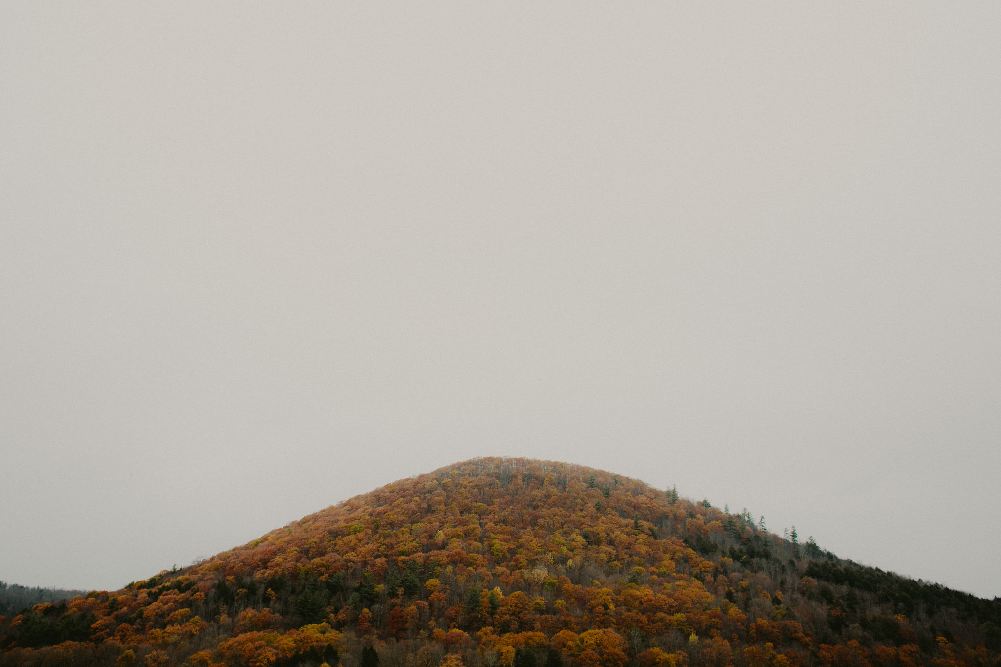 Catskills_Elopement_Bethany_and_Chris