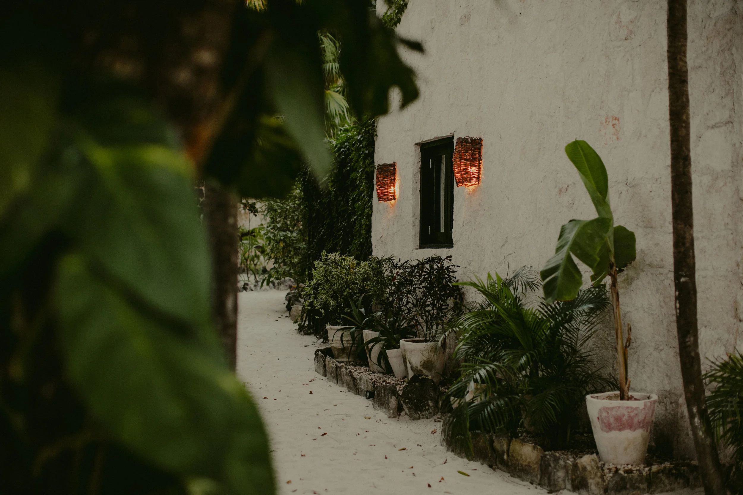 Nest Tulum Wedding Photographer
