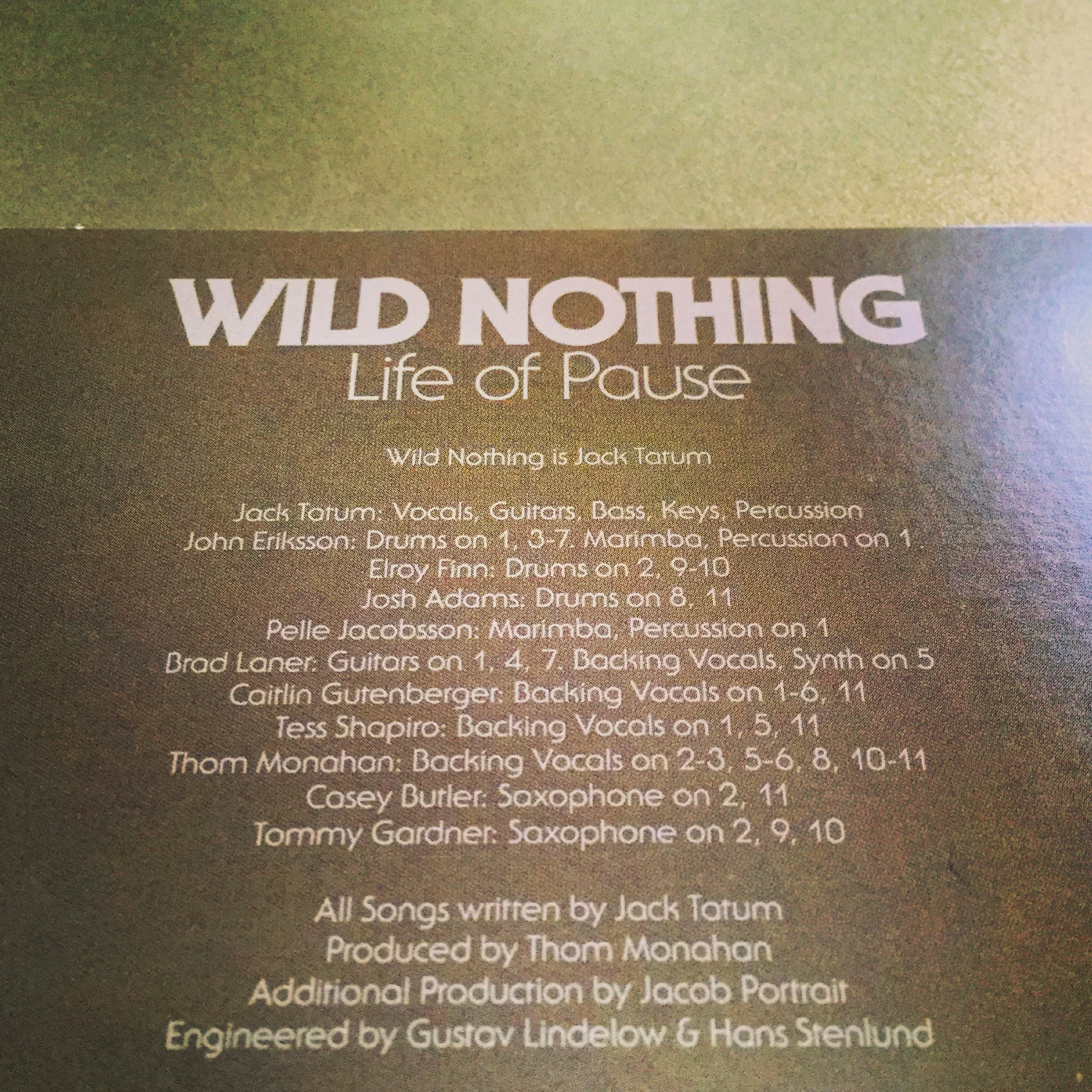 The back of the sleeve.