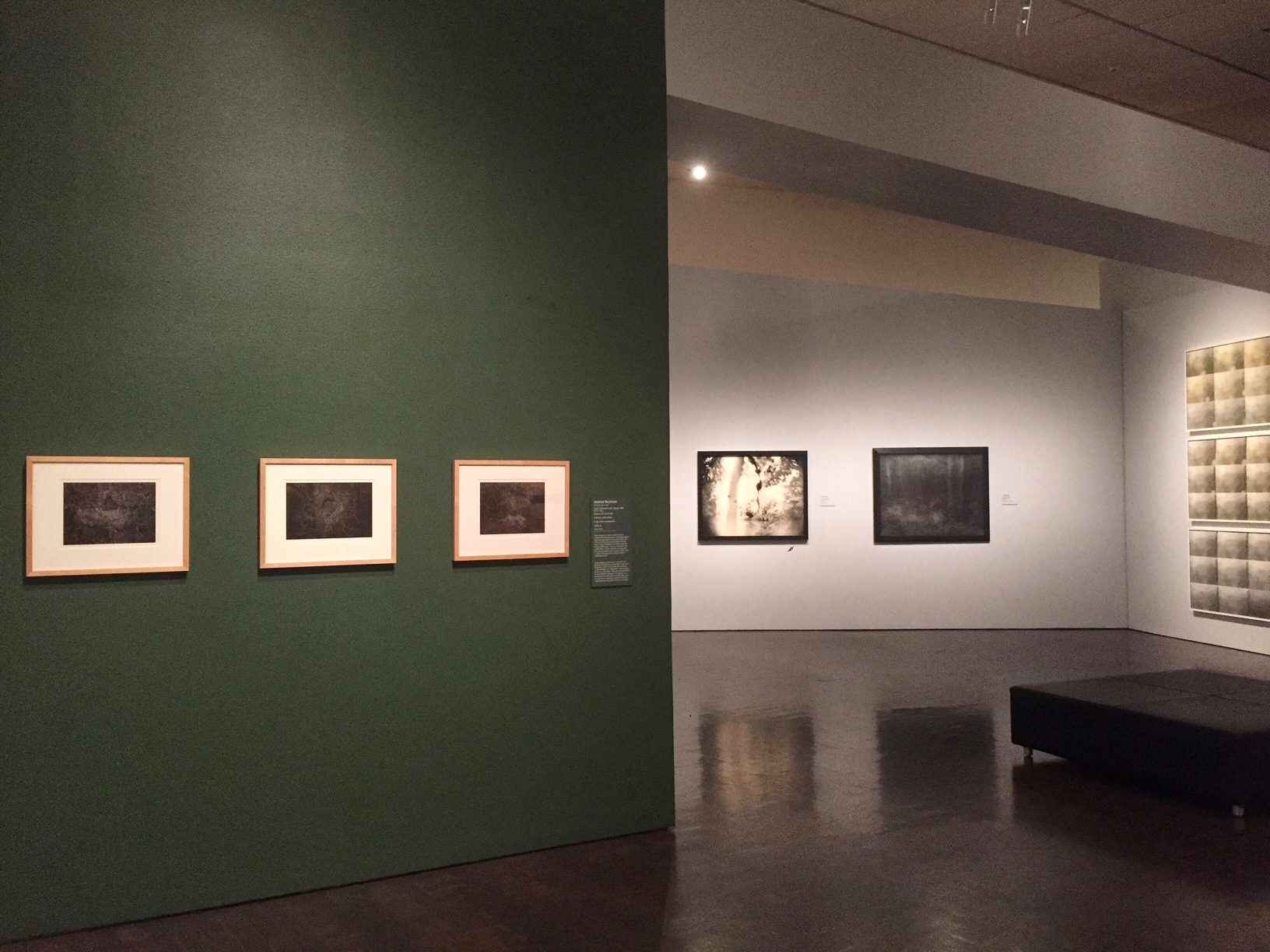 One Square Mile, on left, (with Sally Mann on far wall) installed in New Territory: Landscape Photography Today