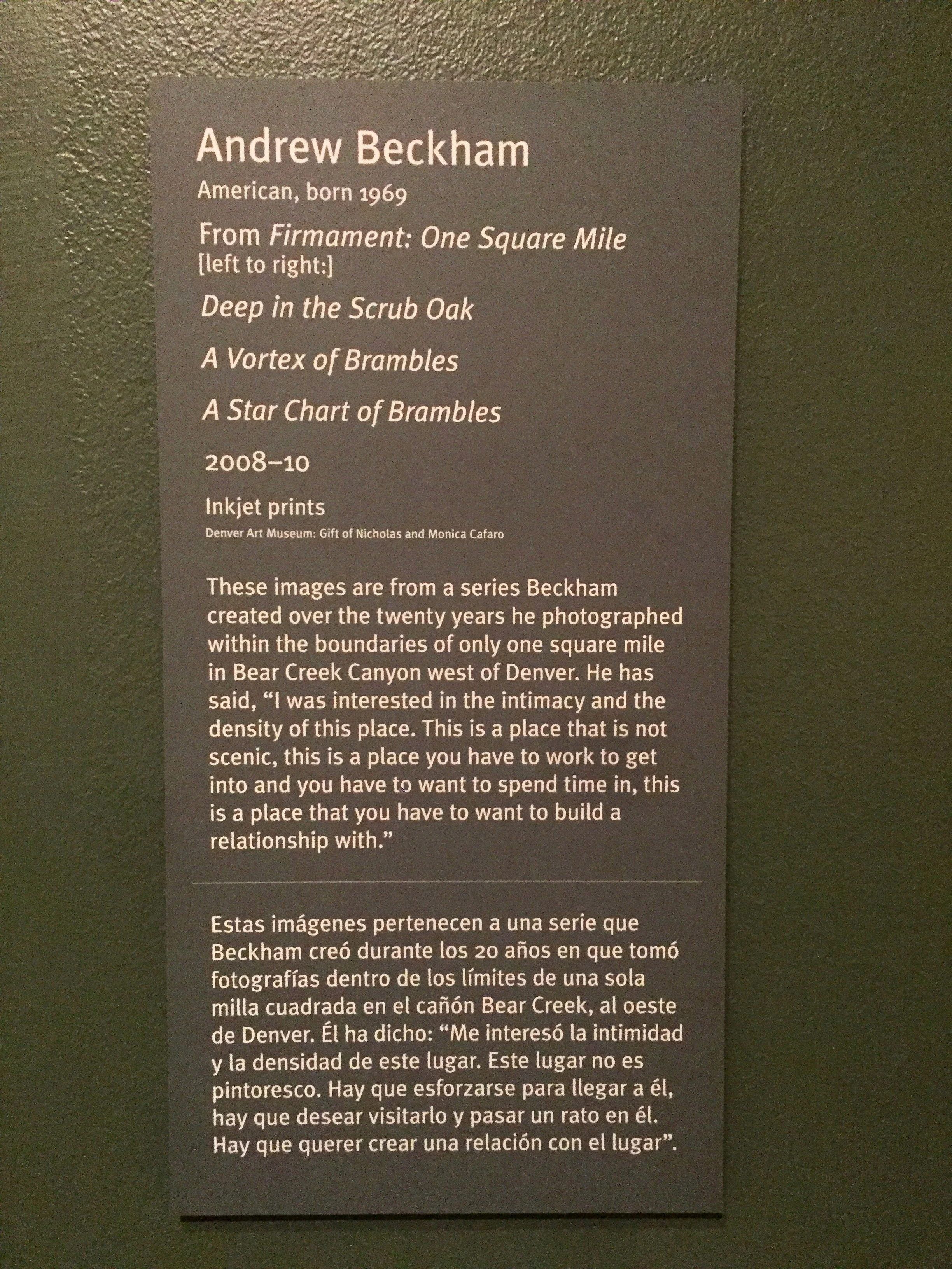 museum plate.jpeg
