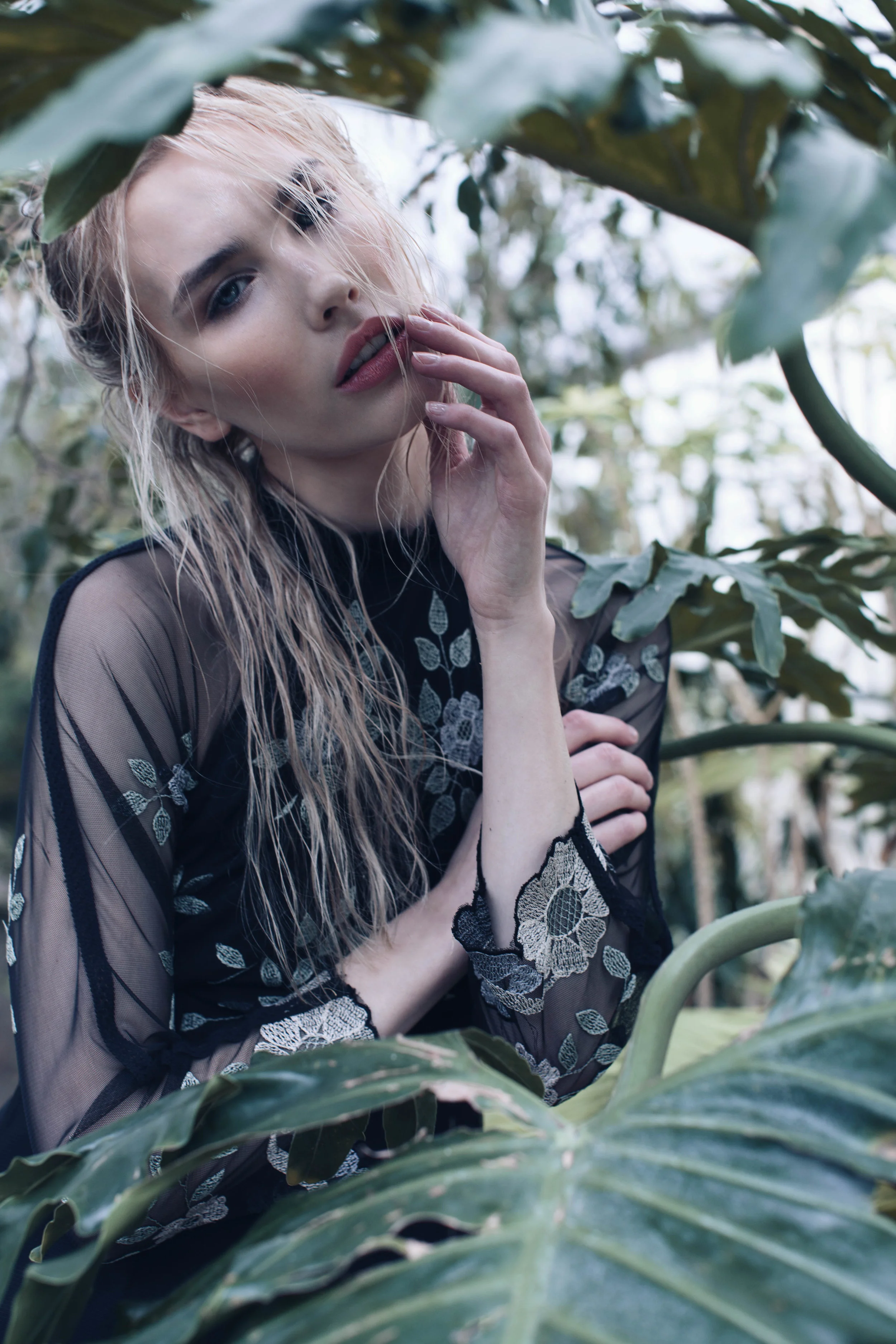 Efflorescence - Lucy's Magazine