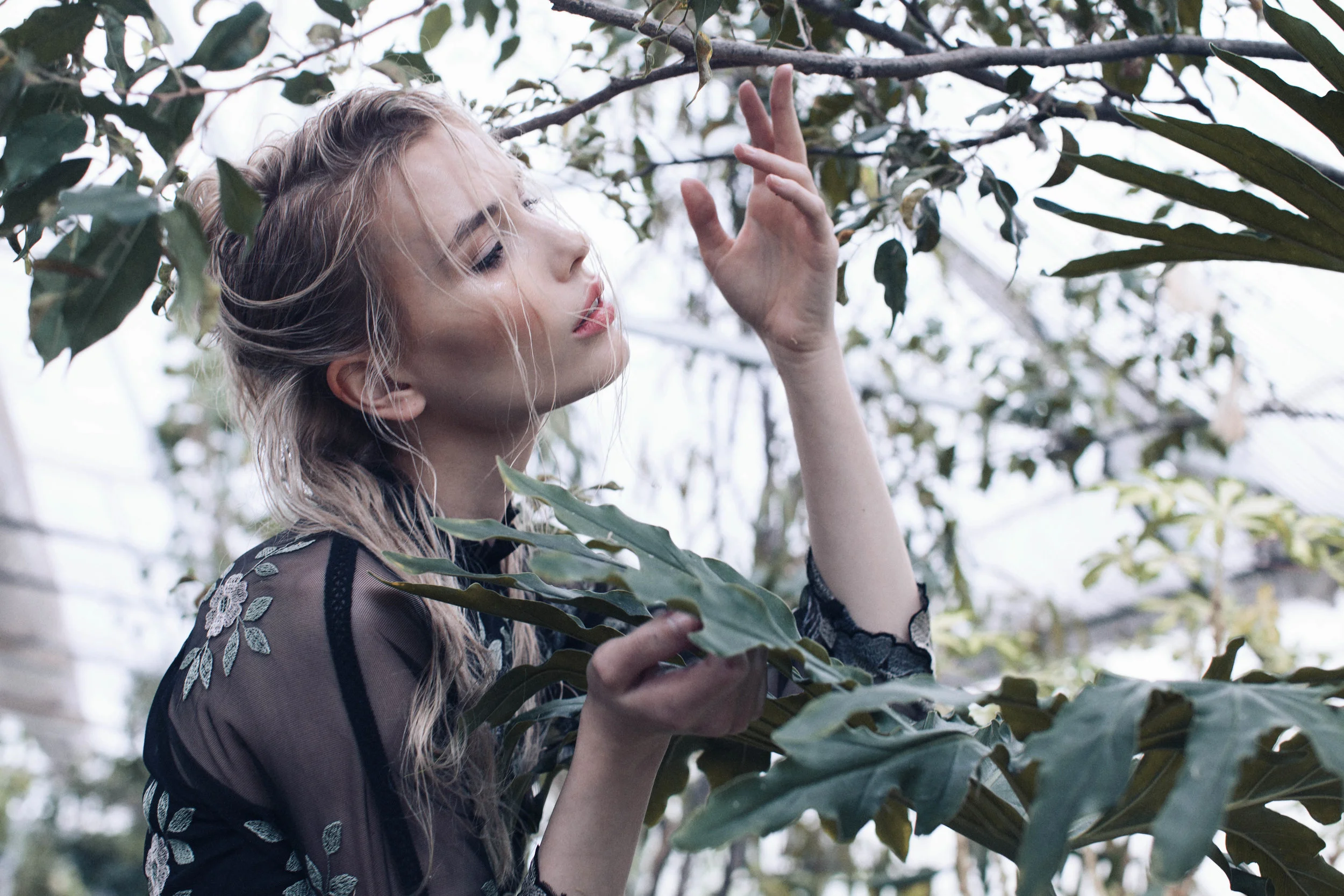 Efflorescence - Lucy's Magazine