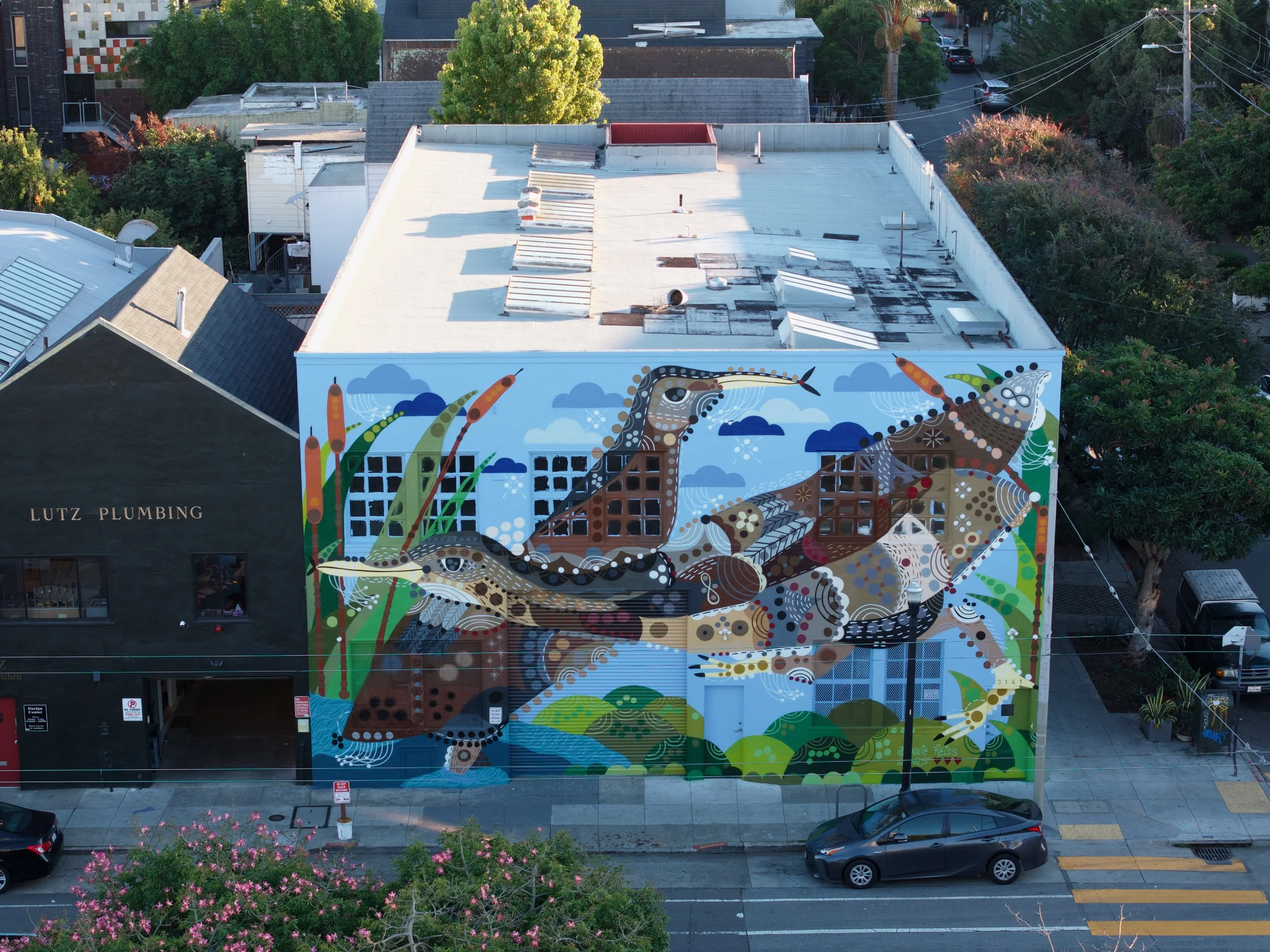 DJI_20251121155834_0108_D (2).jpeg