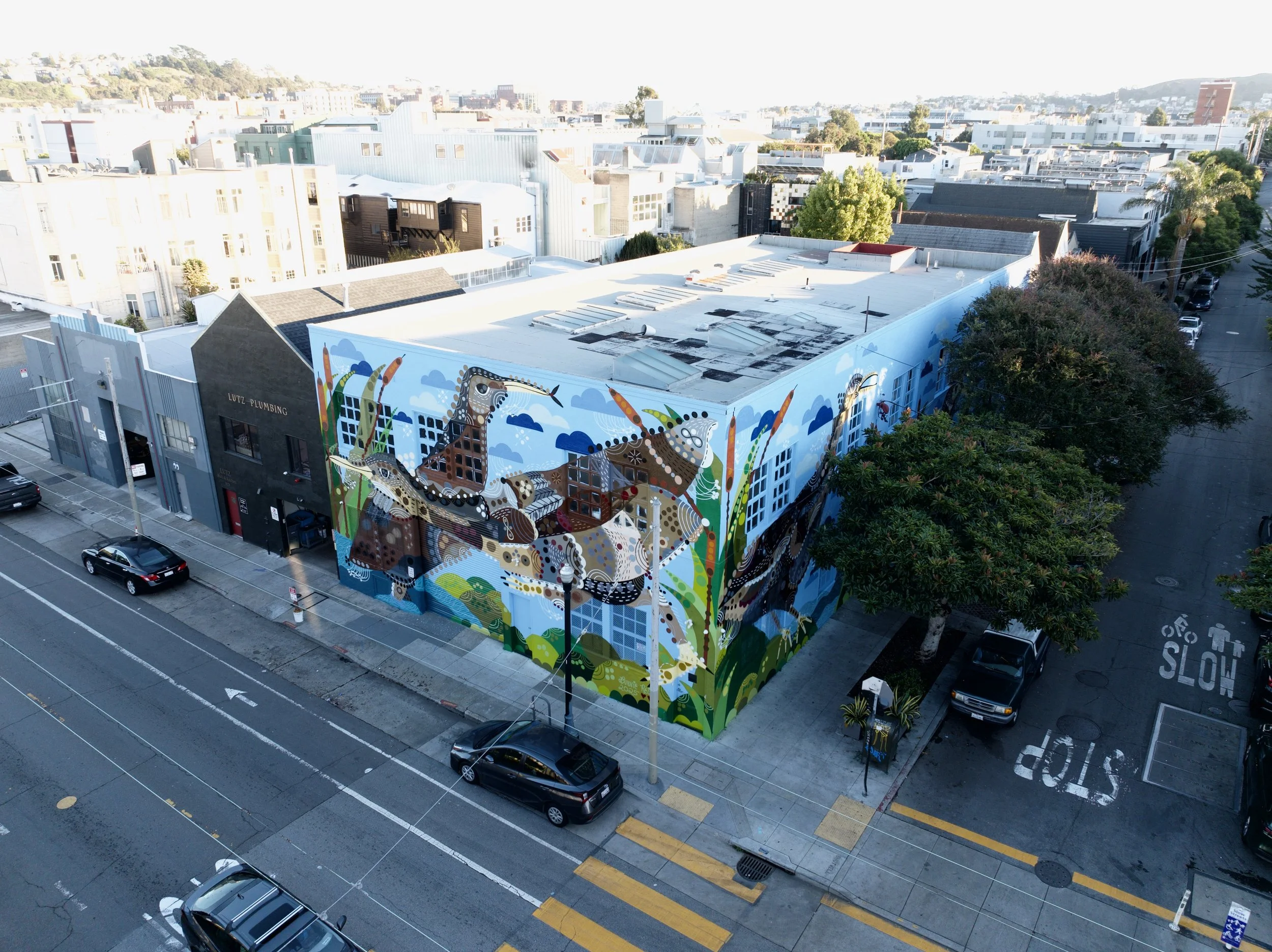 DJI_20251121160614_0117_D (1).jpeg