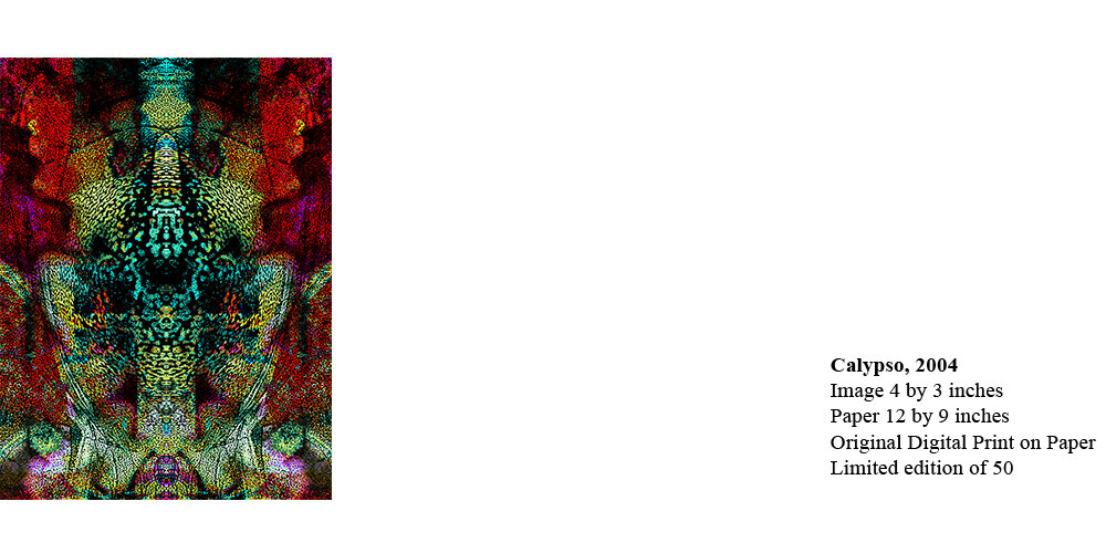 No.Priced.Calypso .jpg