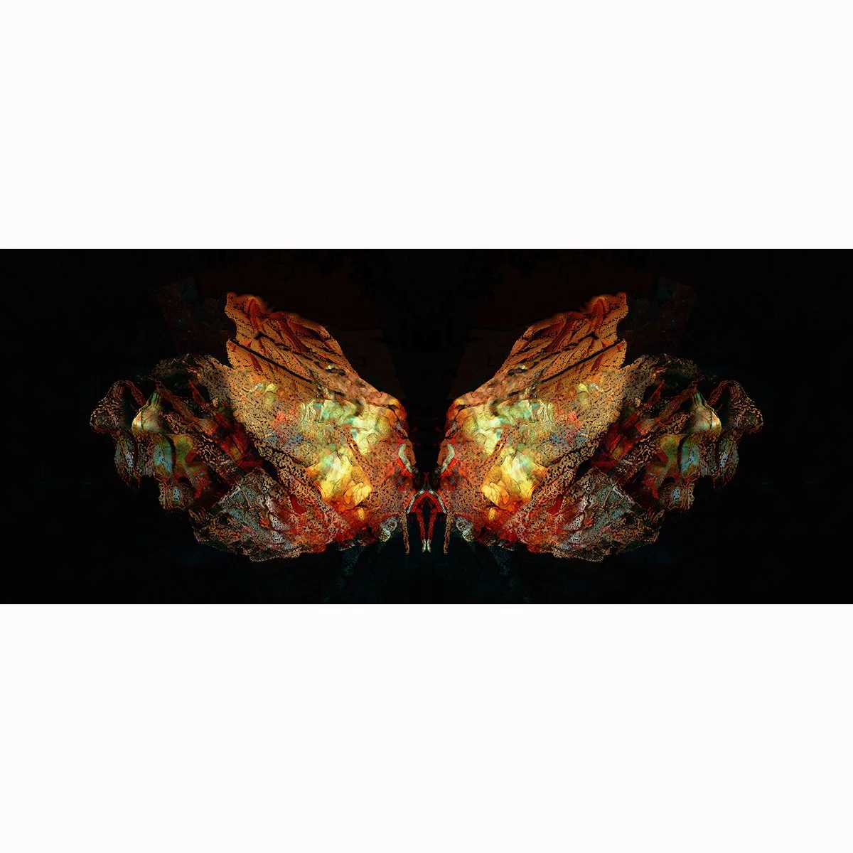 Square.Mini S.Wings of Lightness.jpg