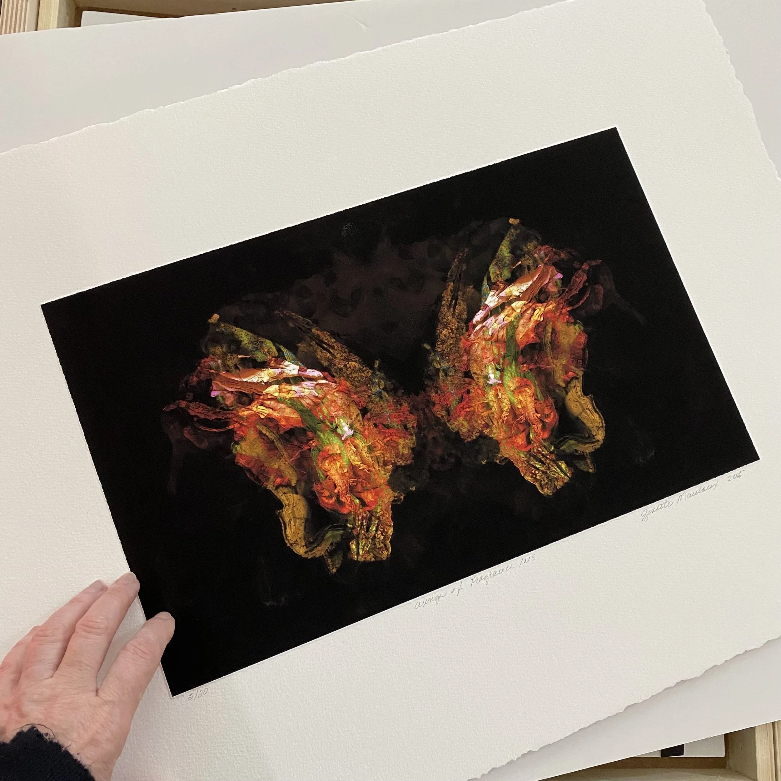 M.Wings of Fragrance.Show.JPEG