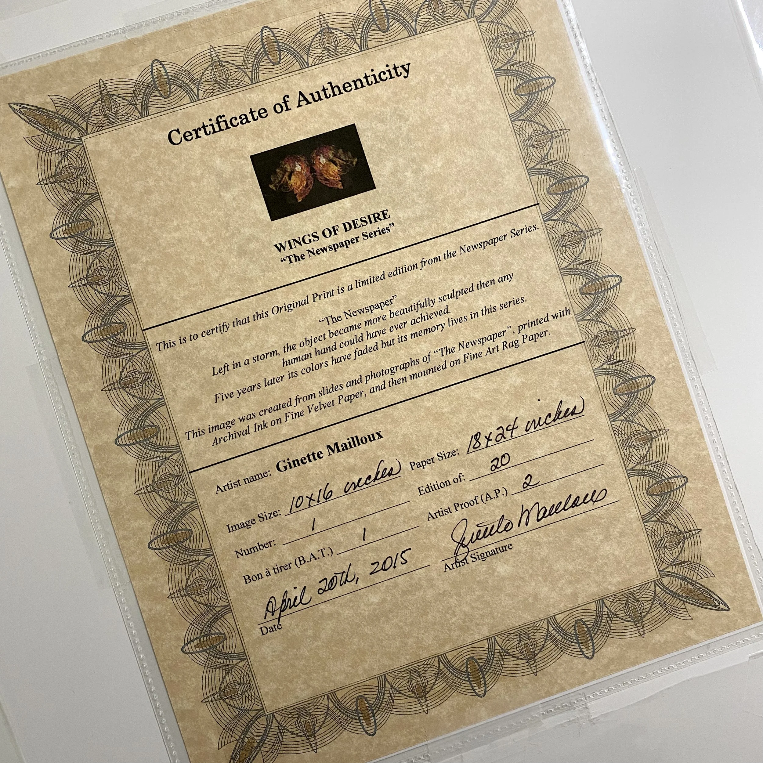 M.Wings of Desire.Certificate.JPEG