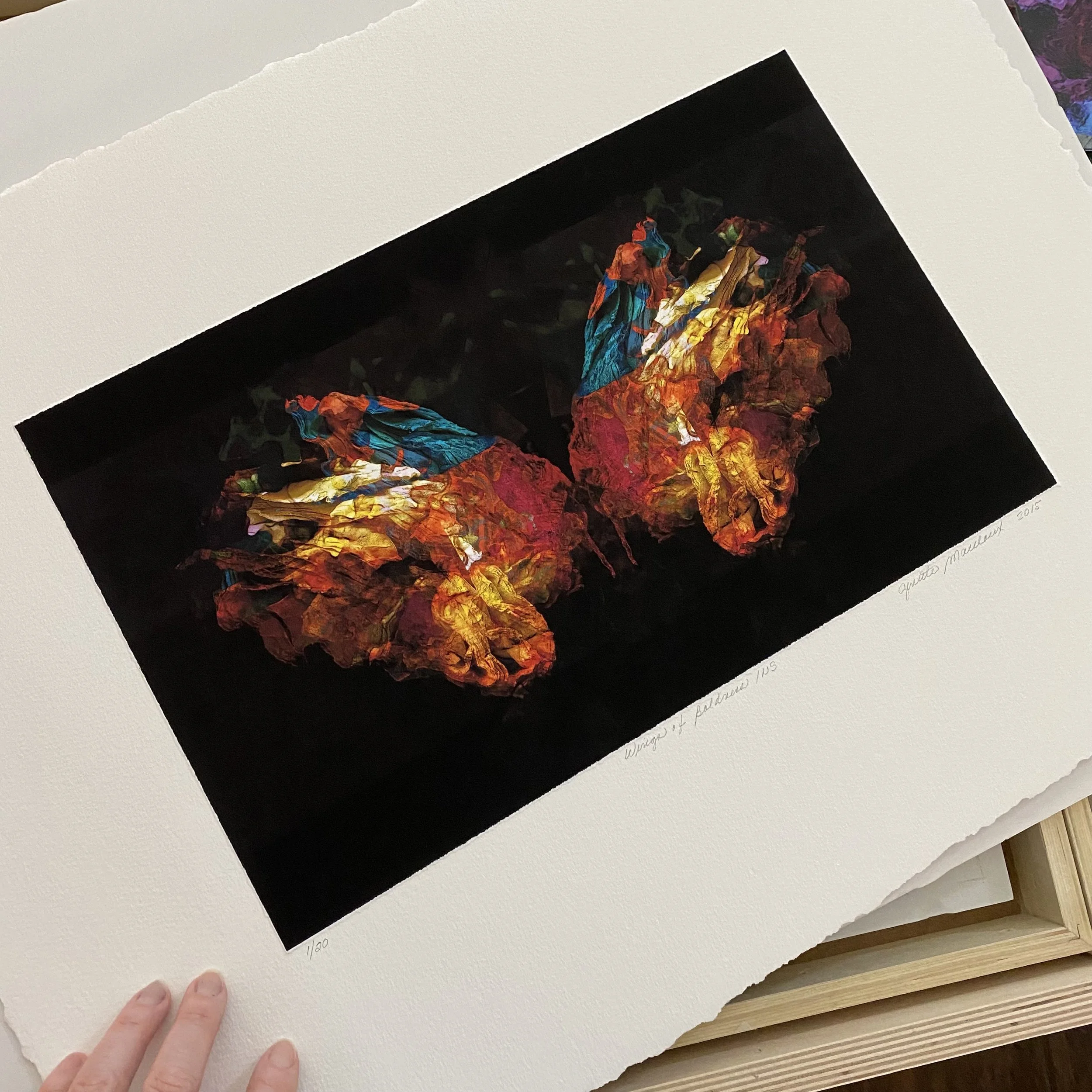 M.Wings of Boldness.Show.JPEG