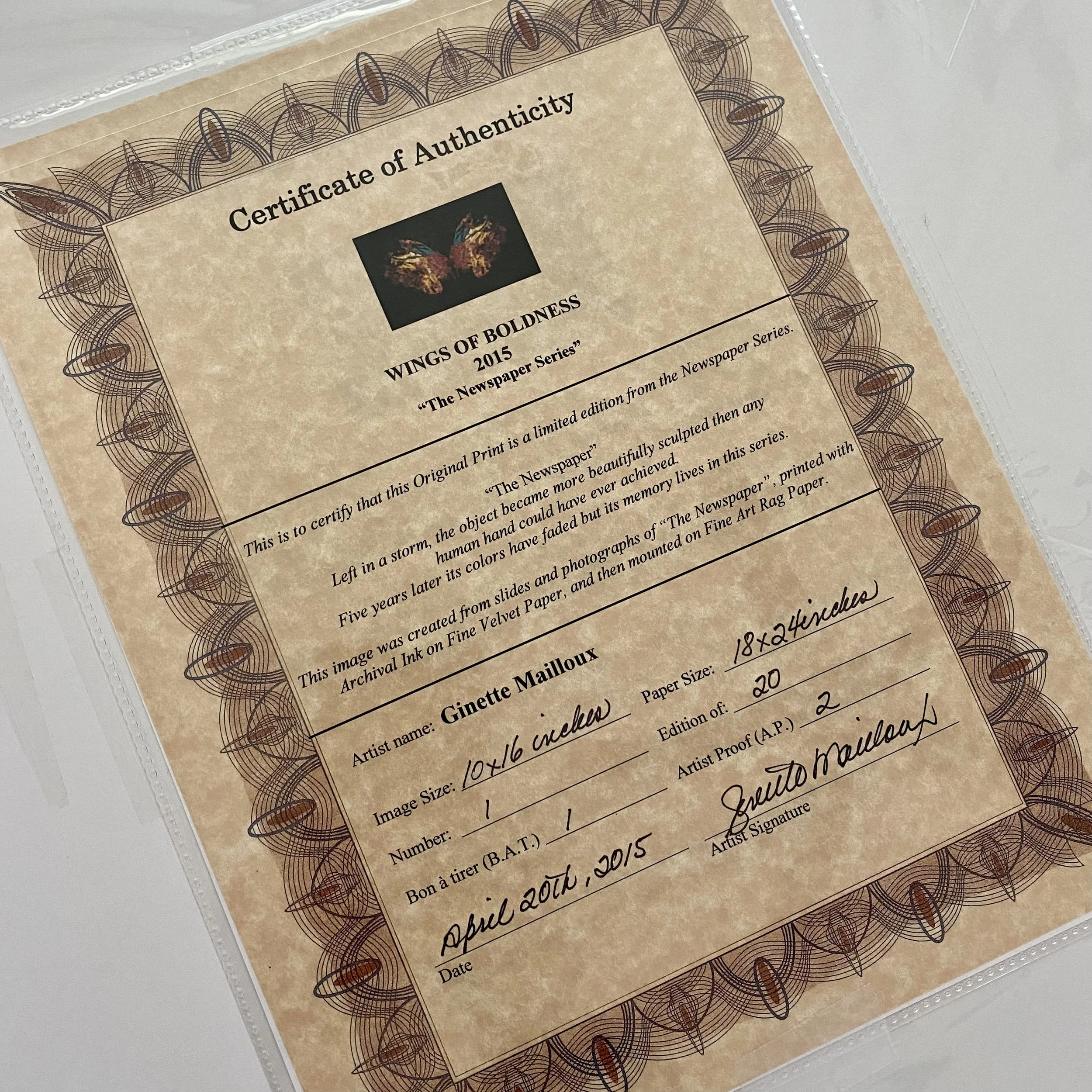 M.Wings of Boldness.Certificate.JPEG