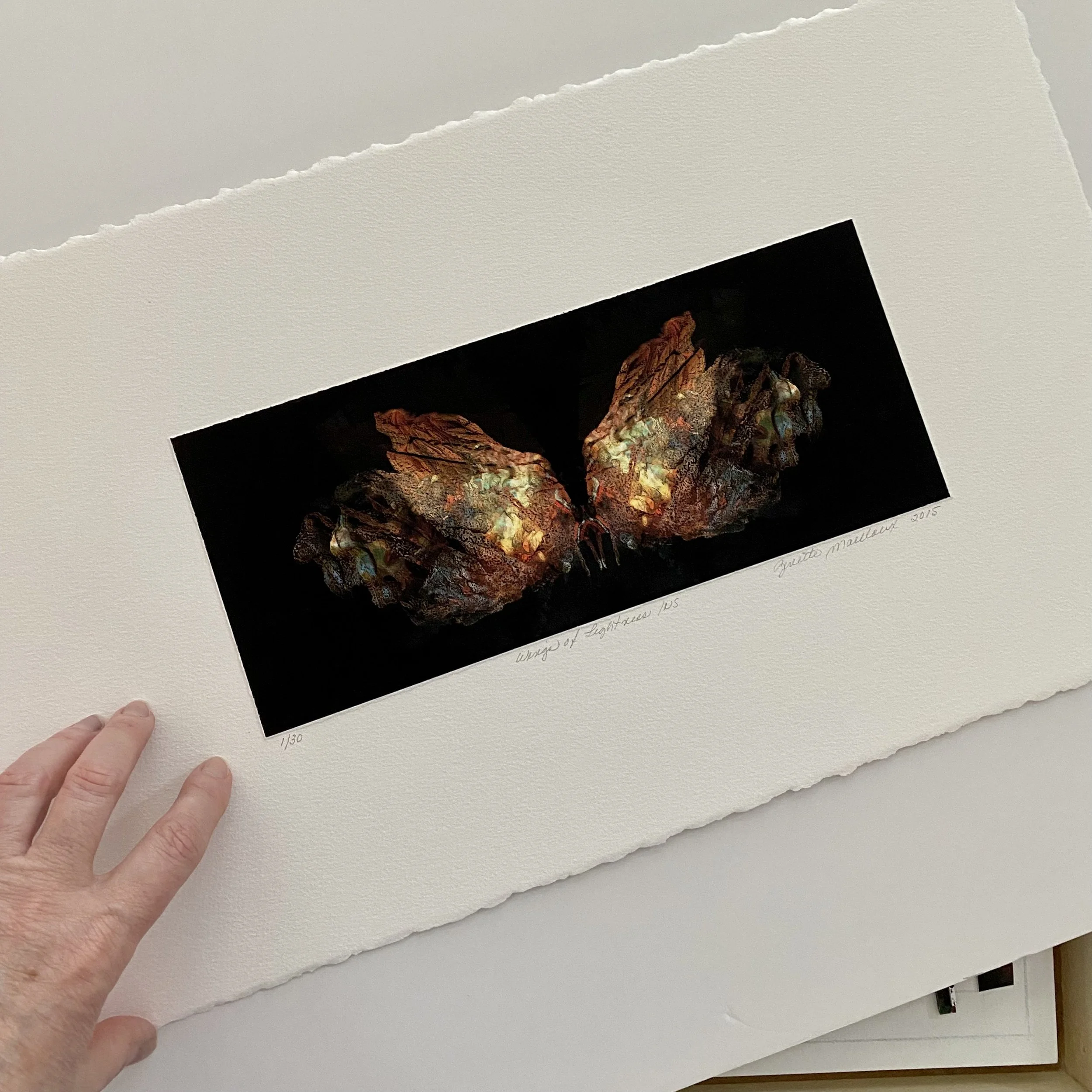 S.Wings of Lightness.Show.JPEG