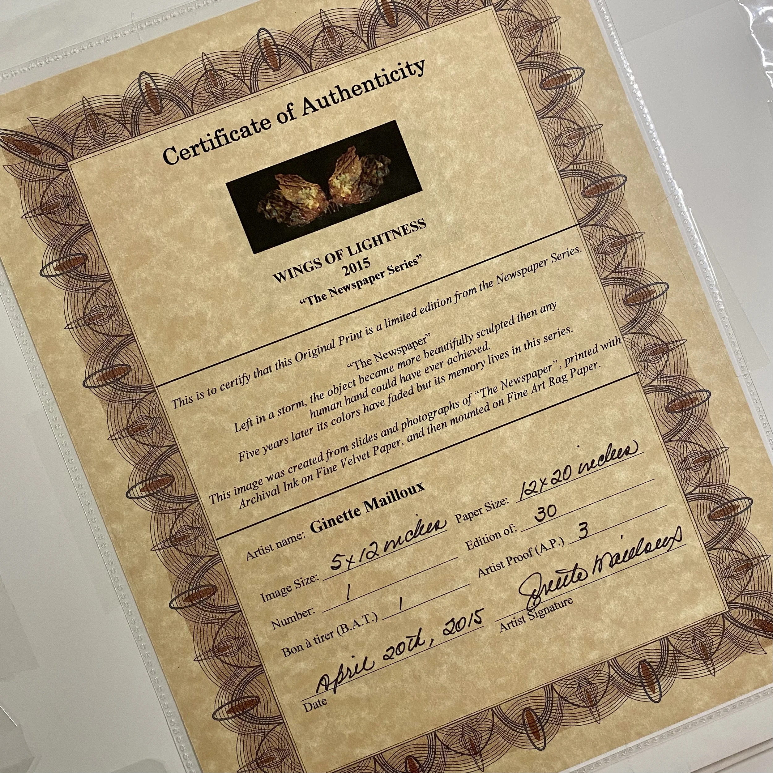 S.Wings of Lightness.Certificate.JPEG