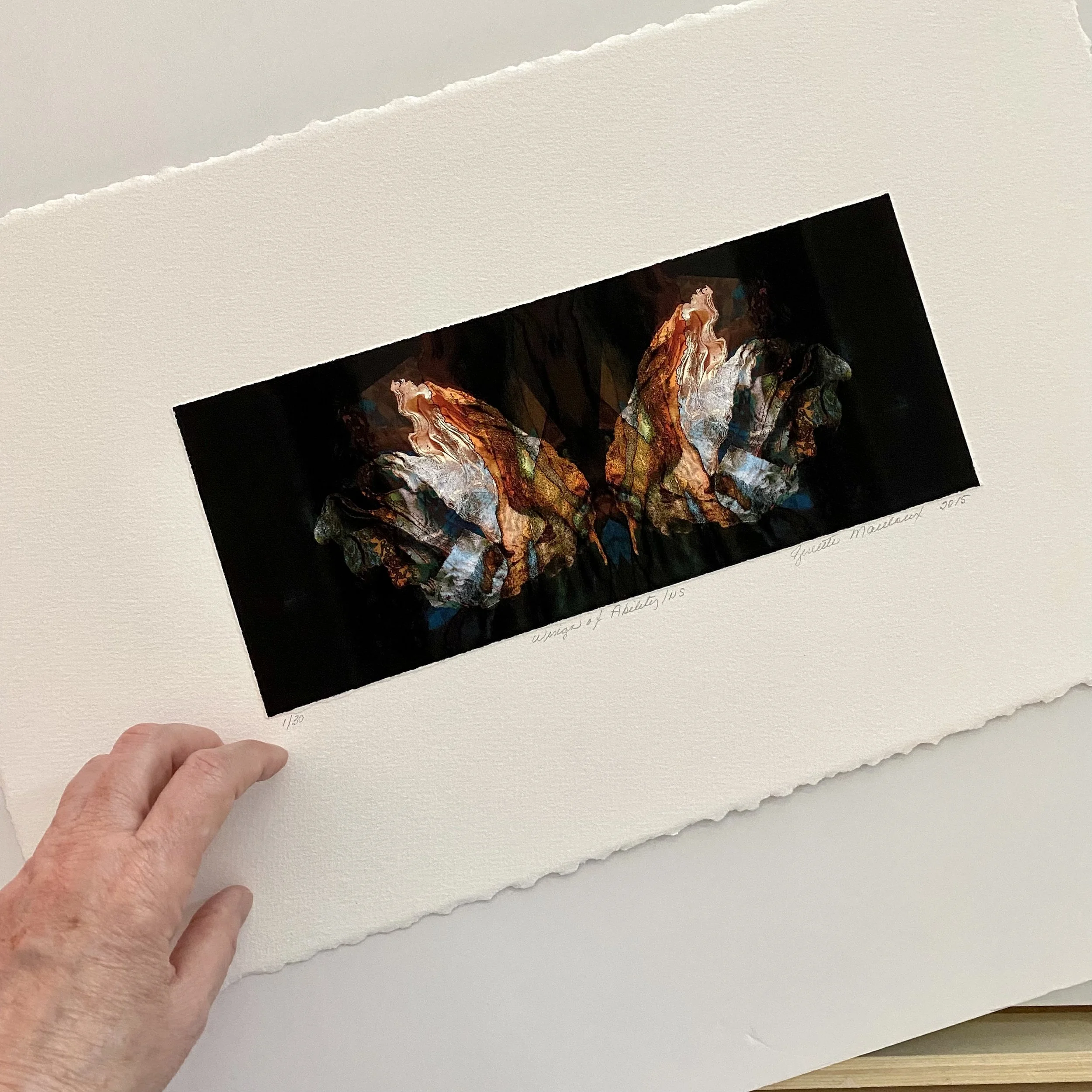 S.Wings of Ability.Show.JPEG