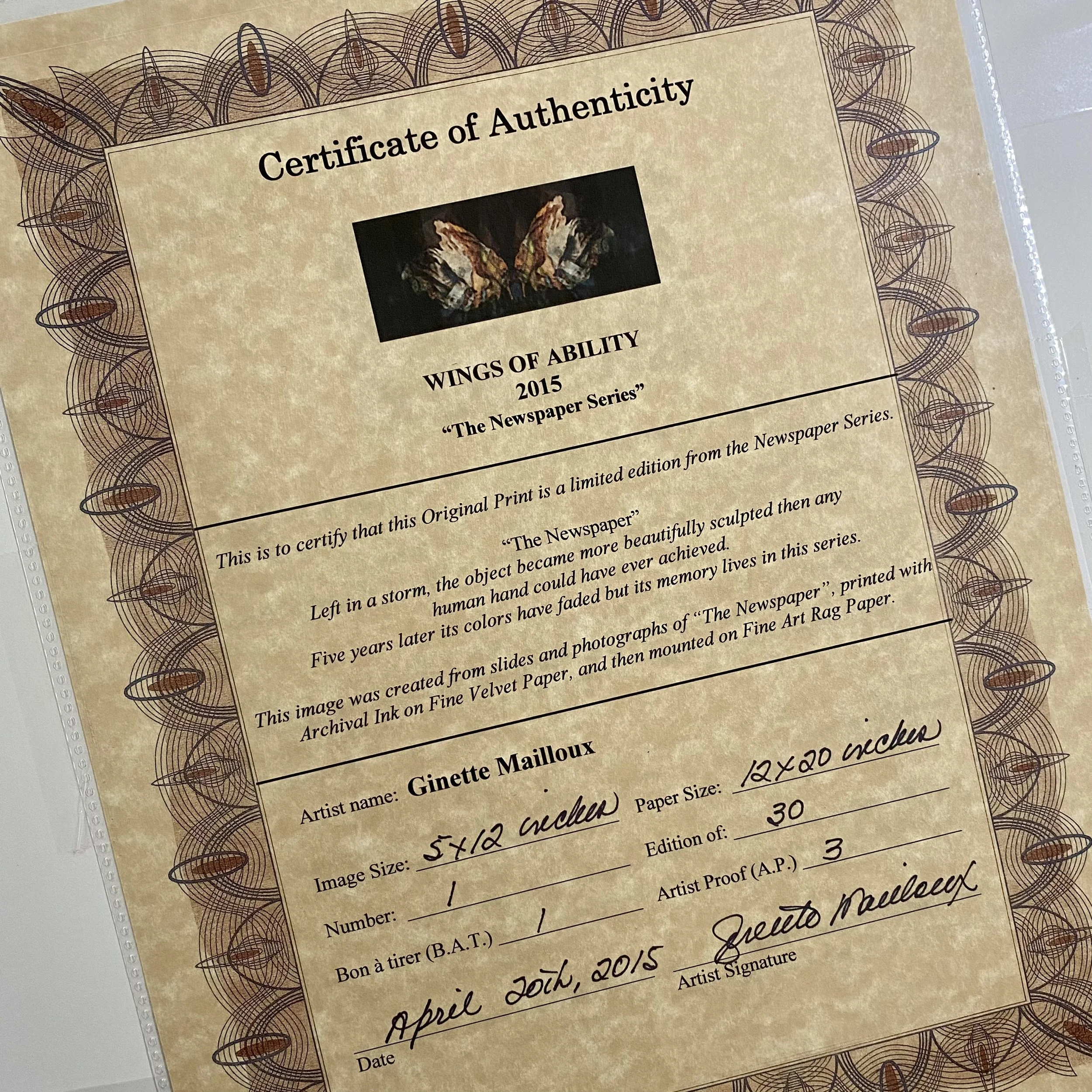 S.Wings of Ability.Cerfiticate.JPEG