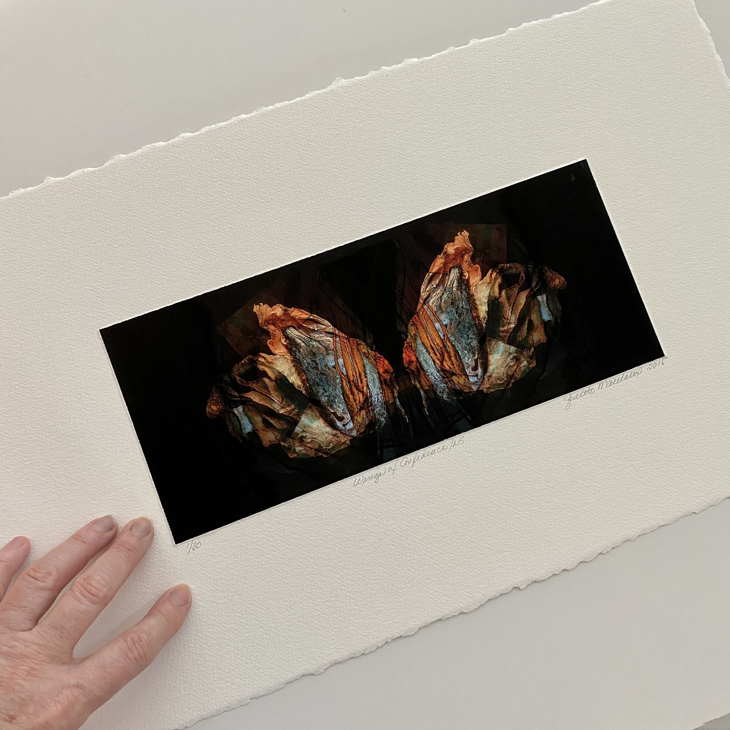 S.Wings of Confidence.Show.JPEG