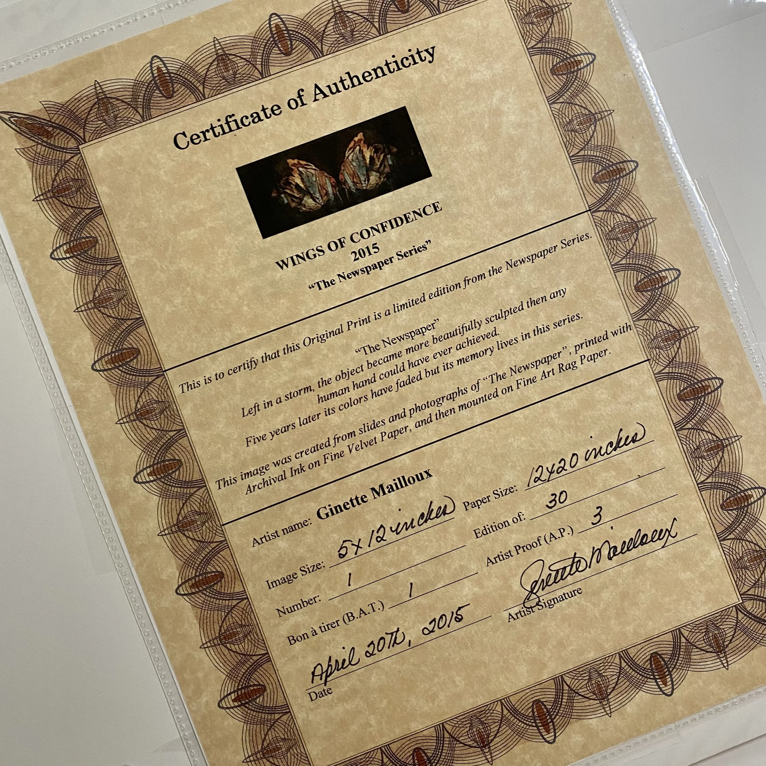 S.Wings of Confidence.Certificate.JPEG