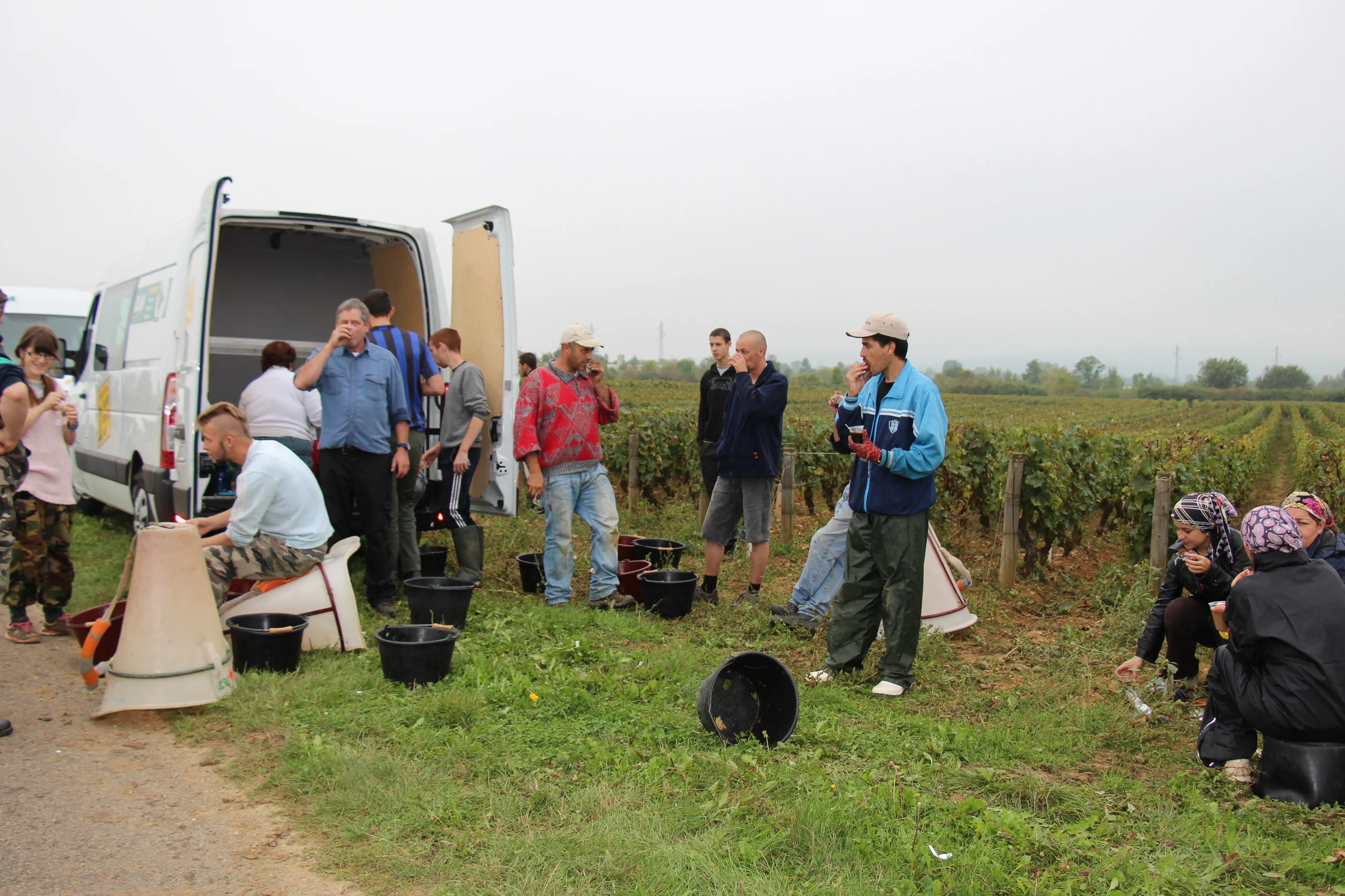 Casse-crôute in the vineyards. Puligny-Montrachet, France
