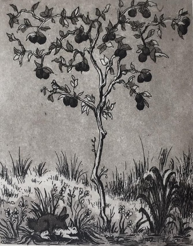 Under The Limes