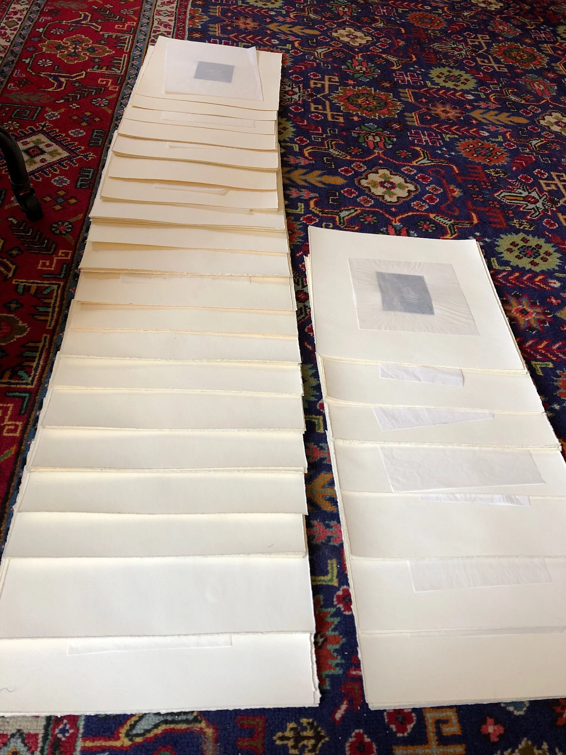 9BA6B01B-F4B5-4FE0-B60F-9906F46FAB51