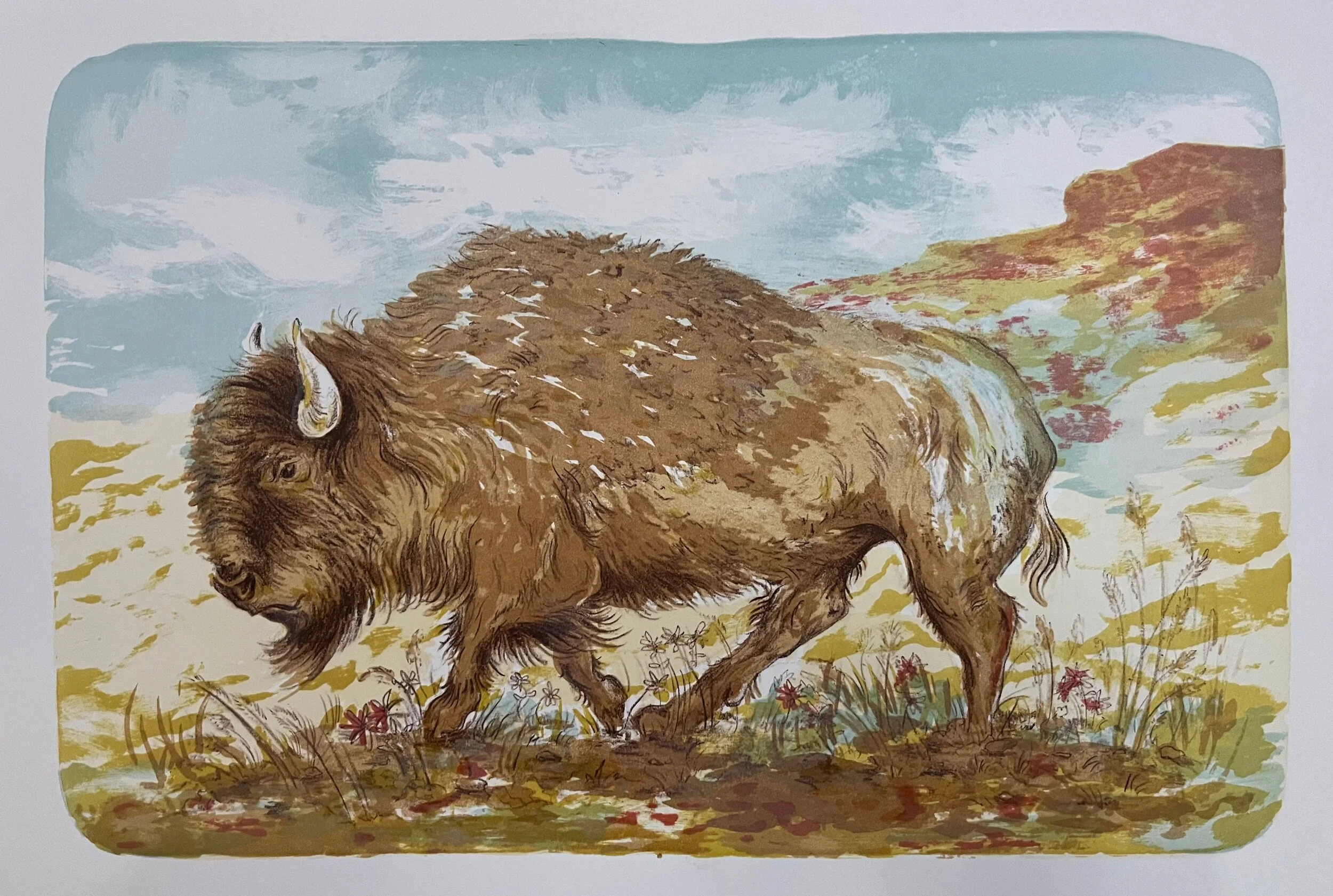 8423C00B-D9FC-44E2-8C51-6BB967C8F90A