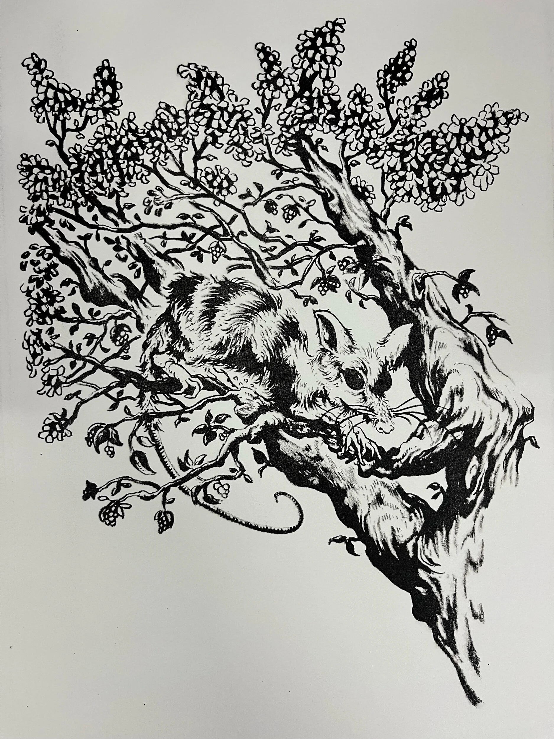 D13CA772-1F55-466B-AED3-2C04D0273219