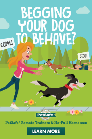 Petsafe_Spring2018_320x480MOBILE.png