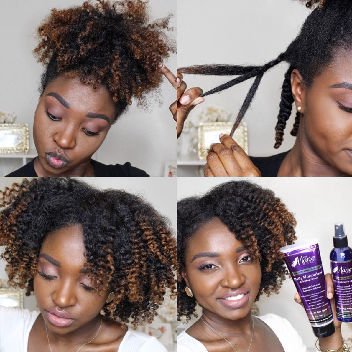 The Mane Choice 3 Strand Twist Out