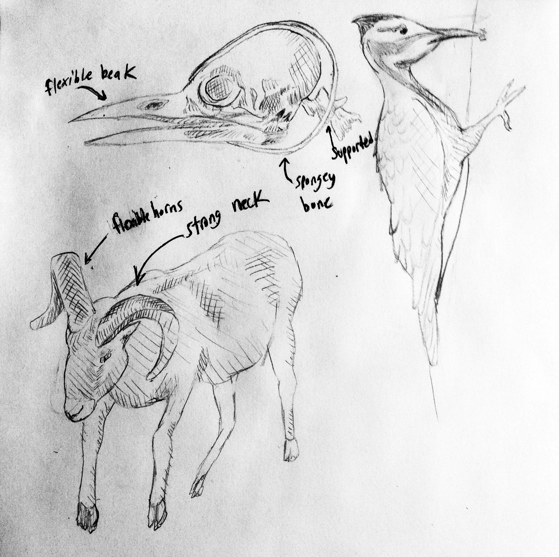    
  
 
  
    
  
 Normal 
 0 
 
 
 
 
 false 
 false 
 false 
 
 EN-US 
 JA 
 X-NONE 
 
  
  
  
  
  
  
  
  
  
  
 
 
  
  
  
  
  
  
  
  
  
  
  
  
    
  
 
 
 
 
 
 
 
 
 
 
 
 
 
 
 
 
 
 
 
 
 
 
 
 
 
 
 
 
 
 
 
 
 
 
 
 
 
 
 
 
 