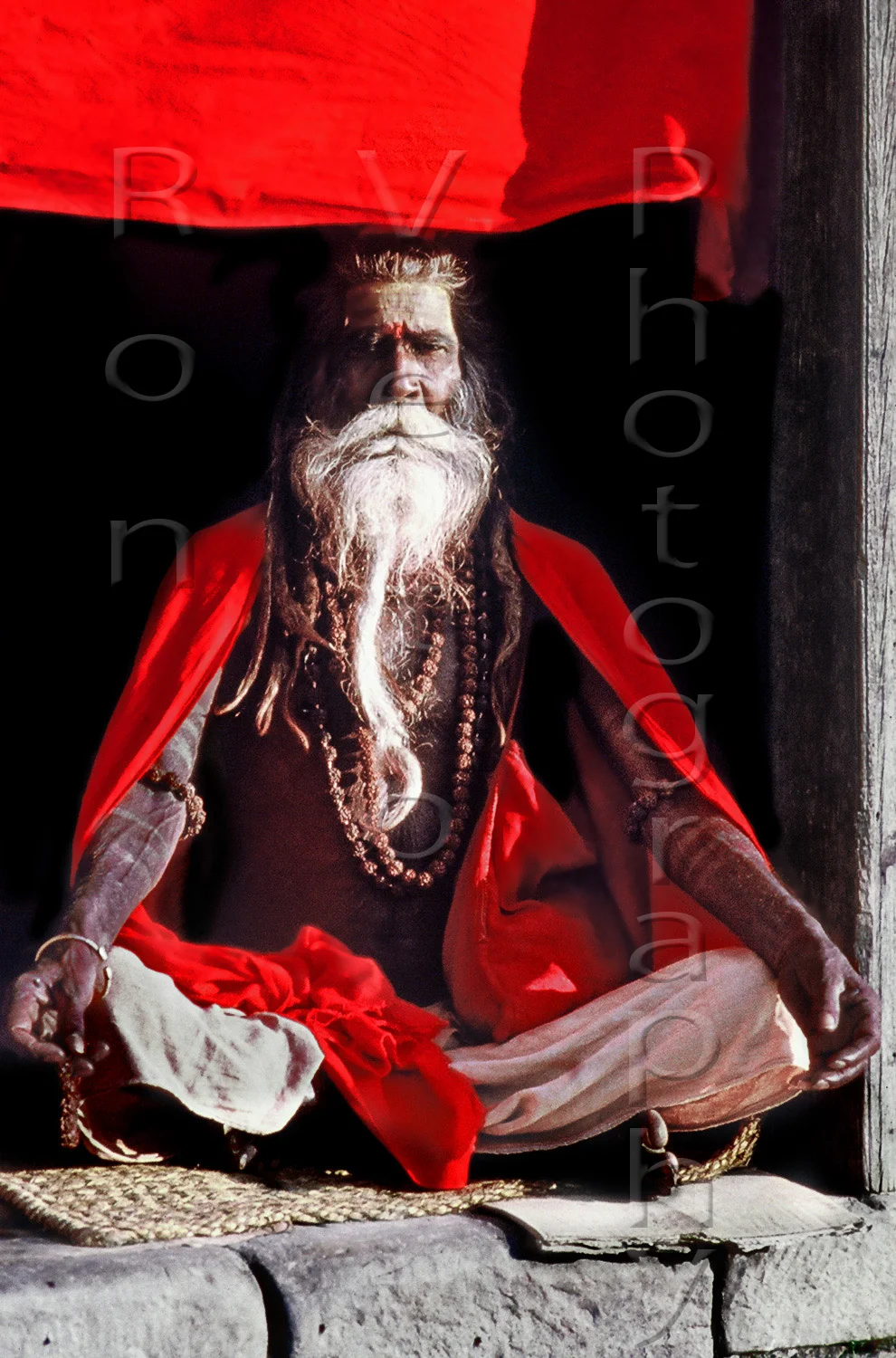 FOLDR13-006web.jpg