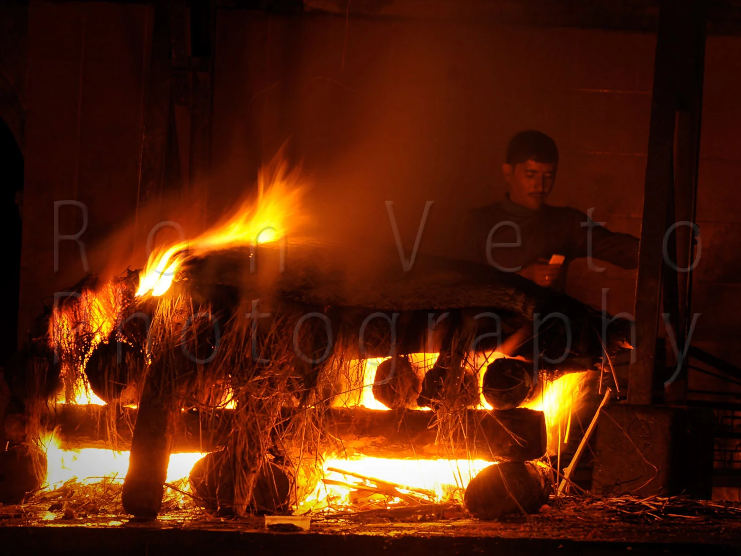 NIK_0402web.jpg