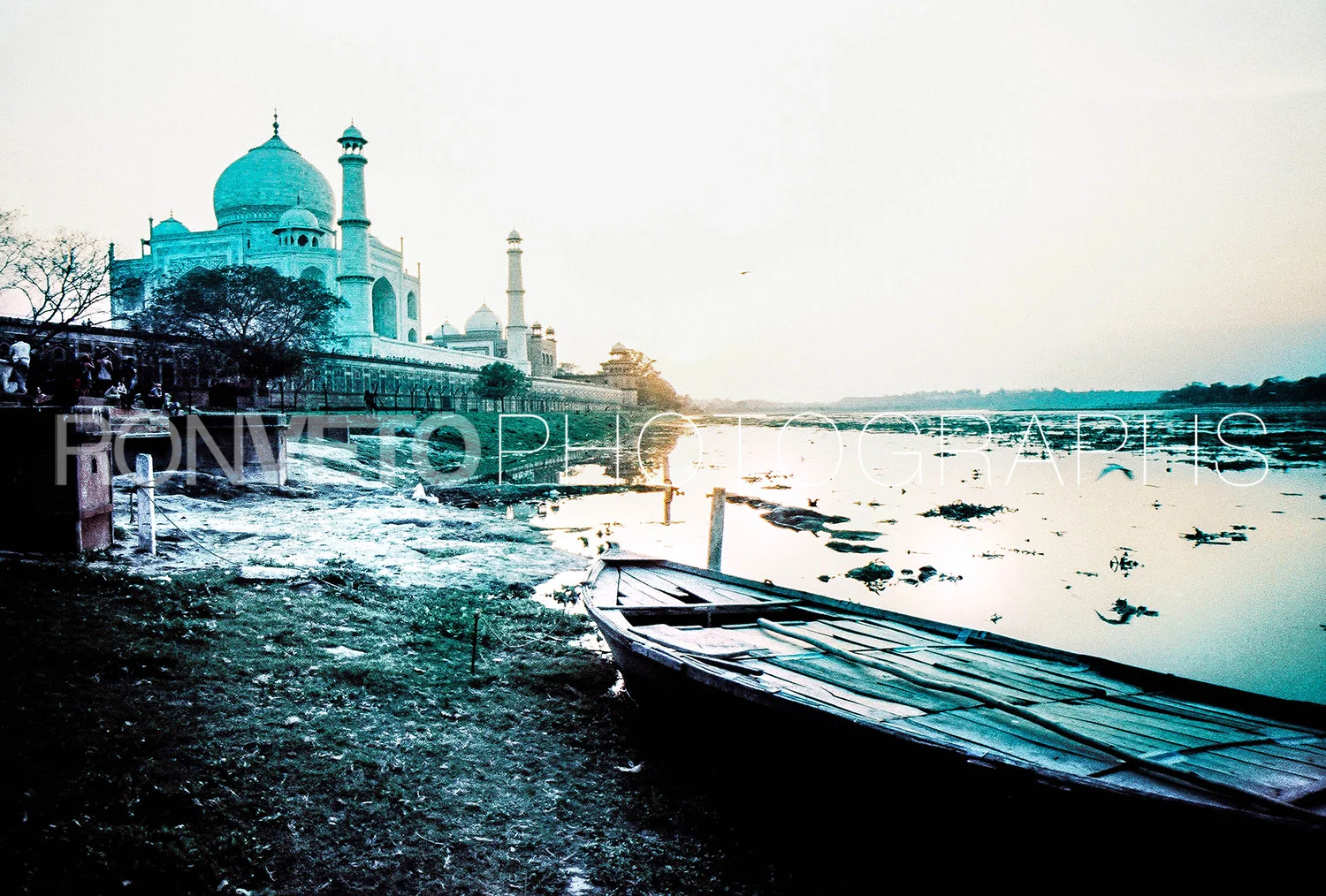 taj.jpg
