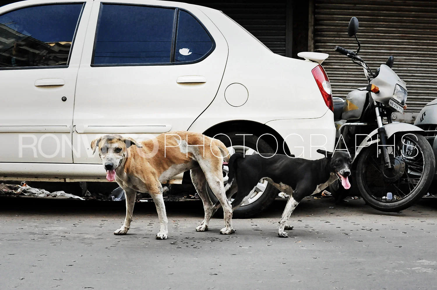Stuck together, Bangkok, Thailand