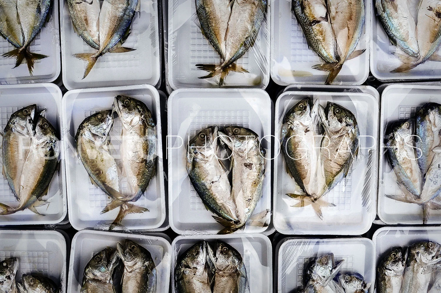 Fish, Bangkok, Thailand