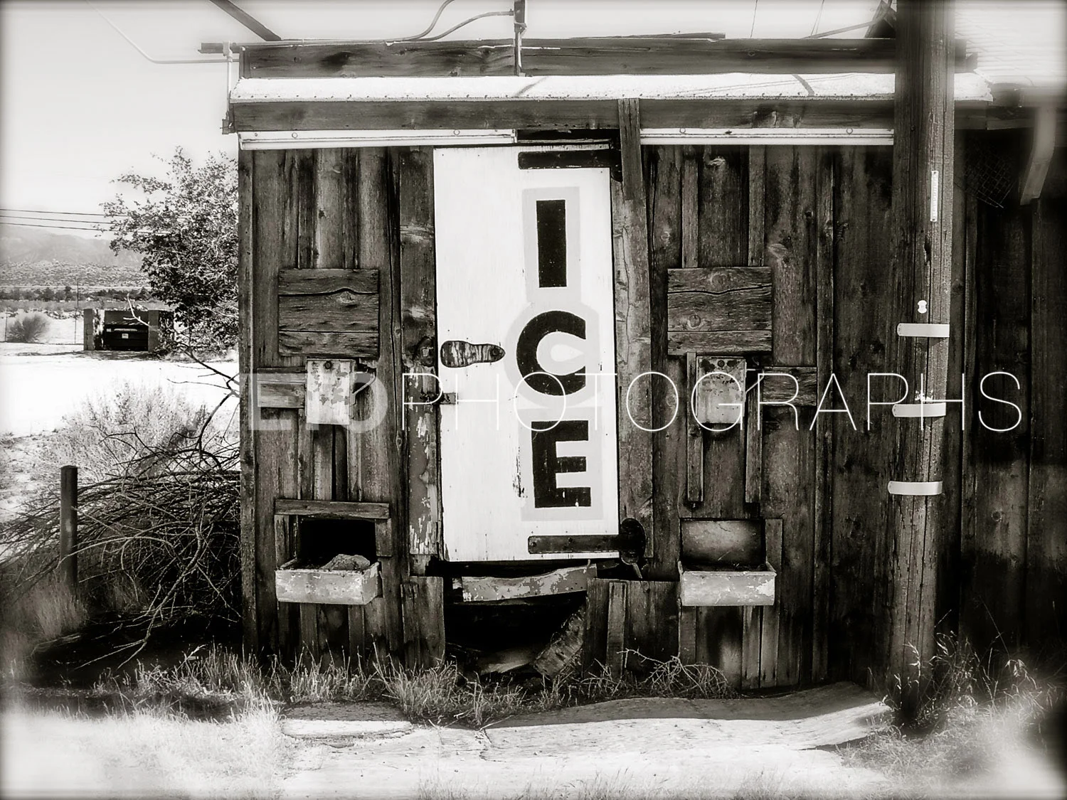Ice machine, Los angeles