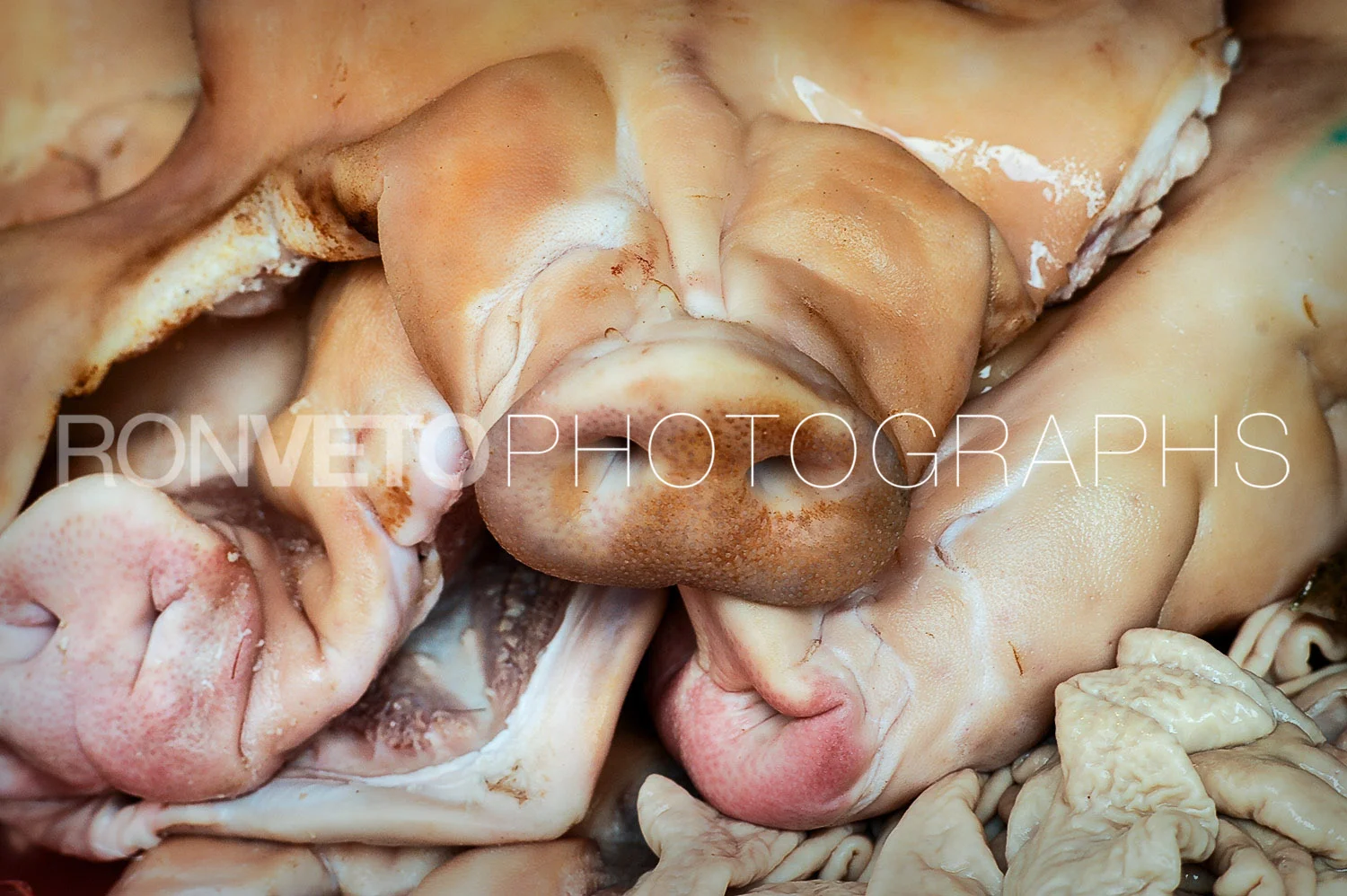 Pig noses, Thailand