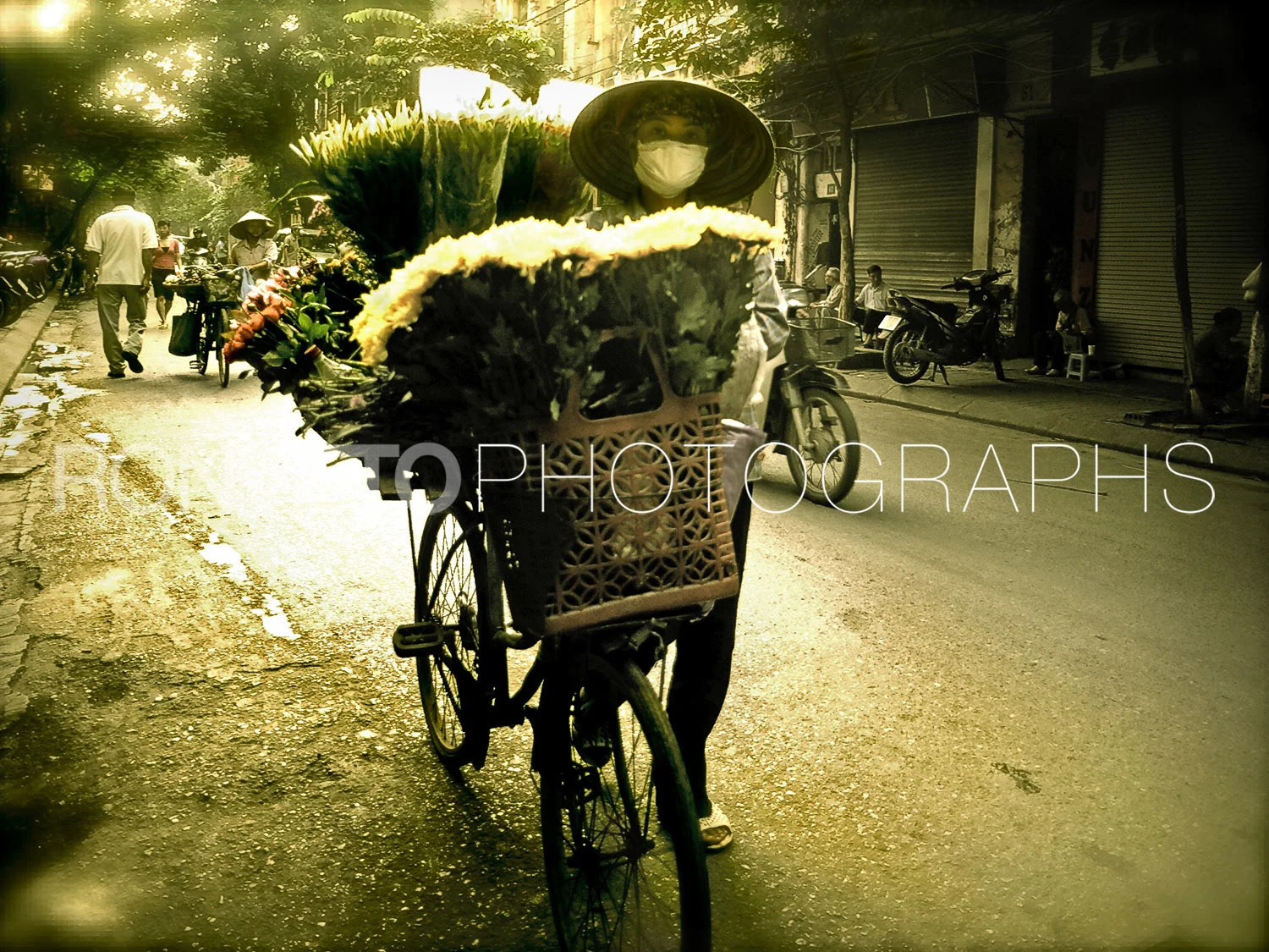 Vietnamese Flower Lady, Han-oi, North Vietnem
