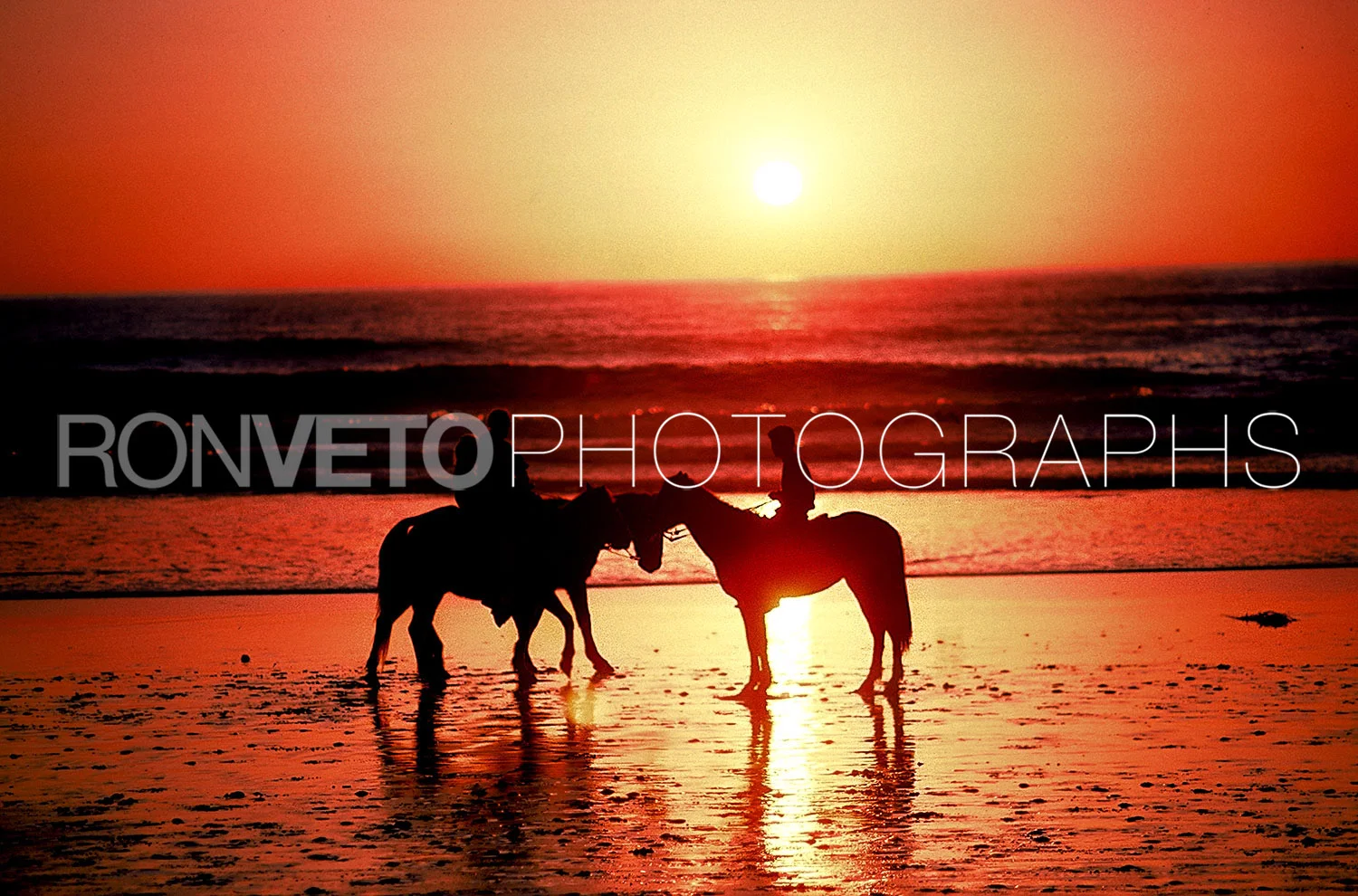 Horsing around, Rosarito Beach, Mexico